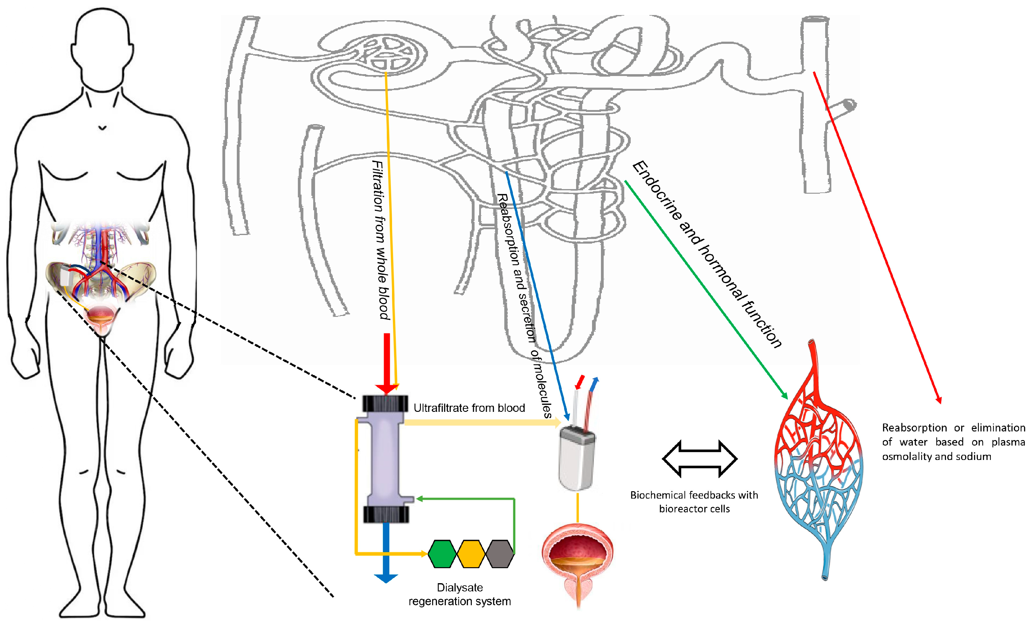 Applsci 14 00491 g001