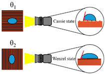 Applsci 14 00495 i001