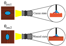 Applsci 14 00495 i002