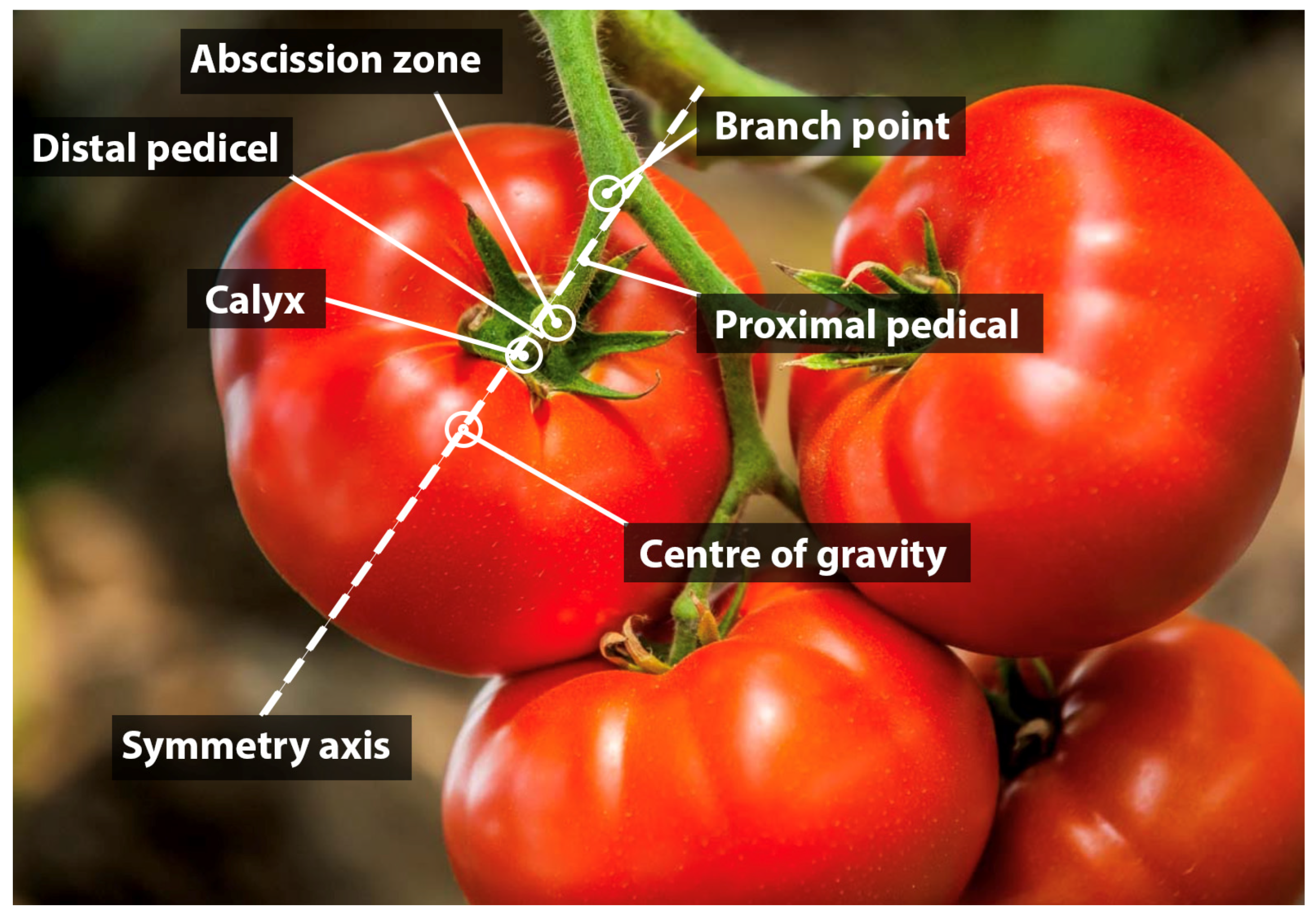 Applsci 14 00511 g002