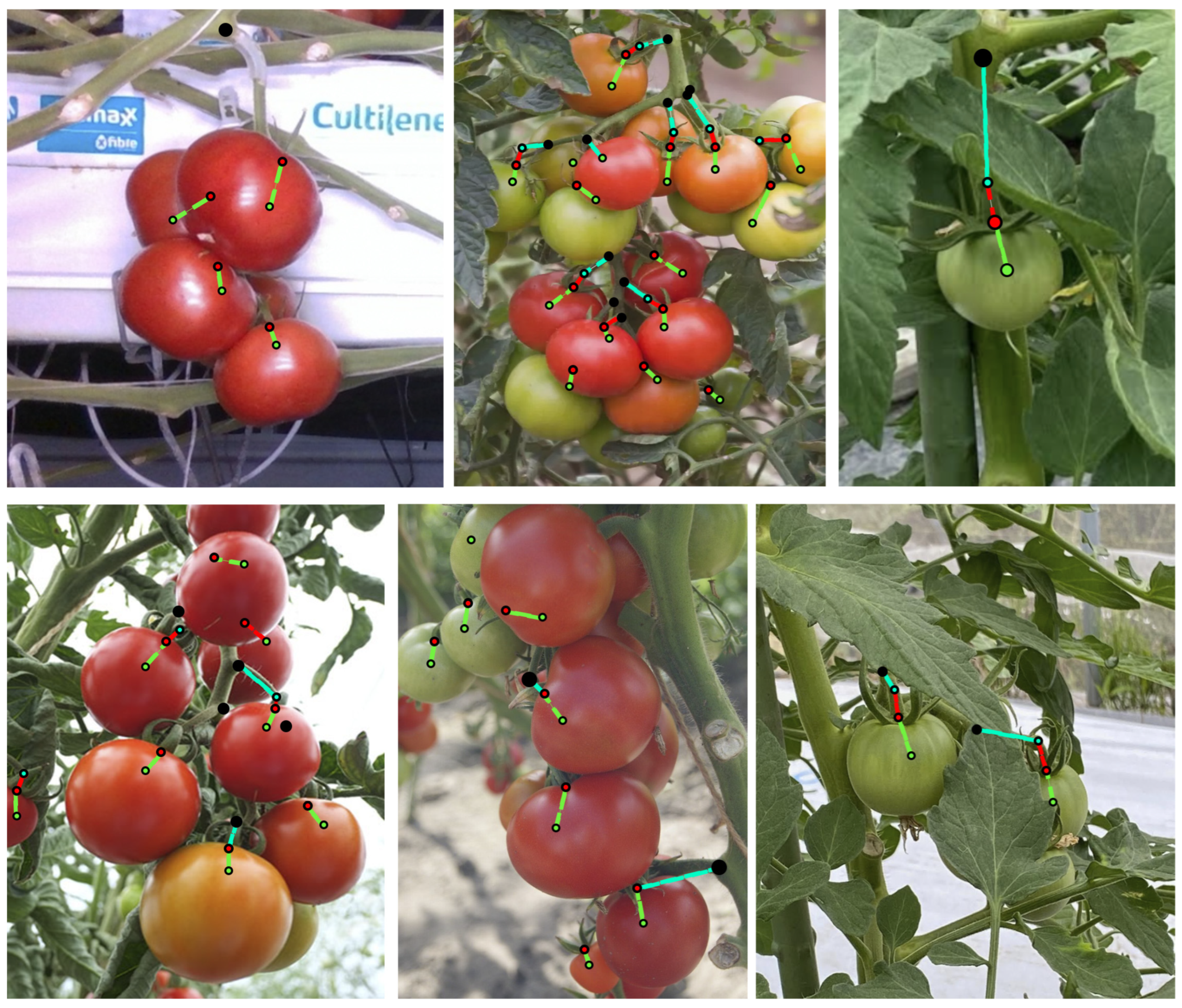 Applsci 14 00511 g006