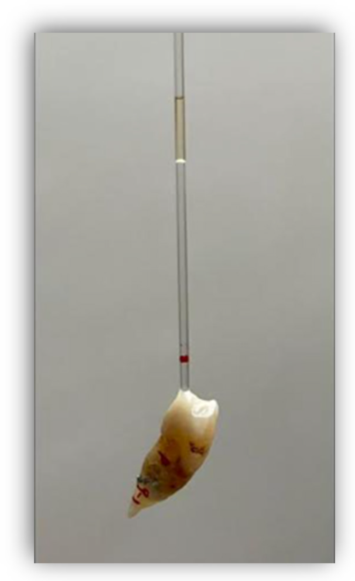 Applsci 14 00532 g001