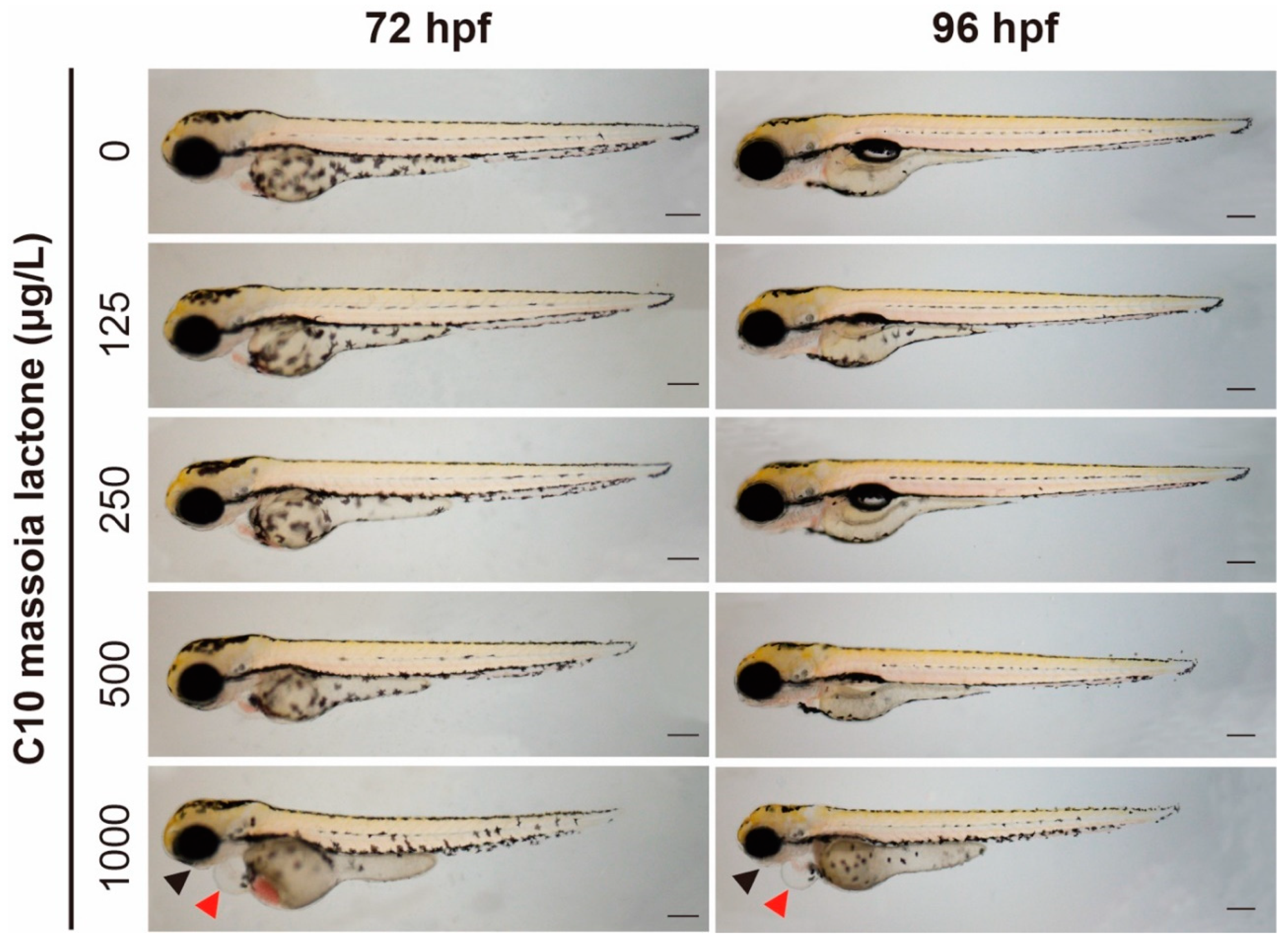 Applsci 14 00538 g002
