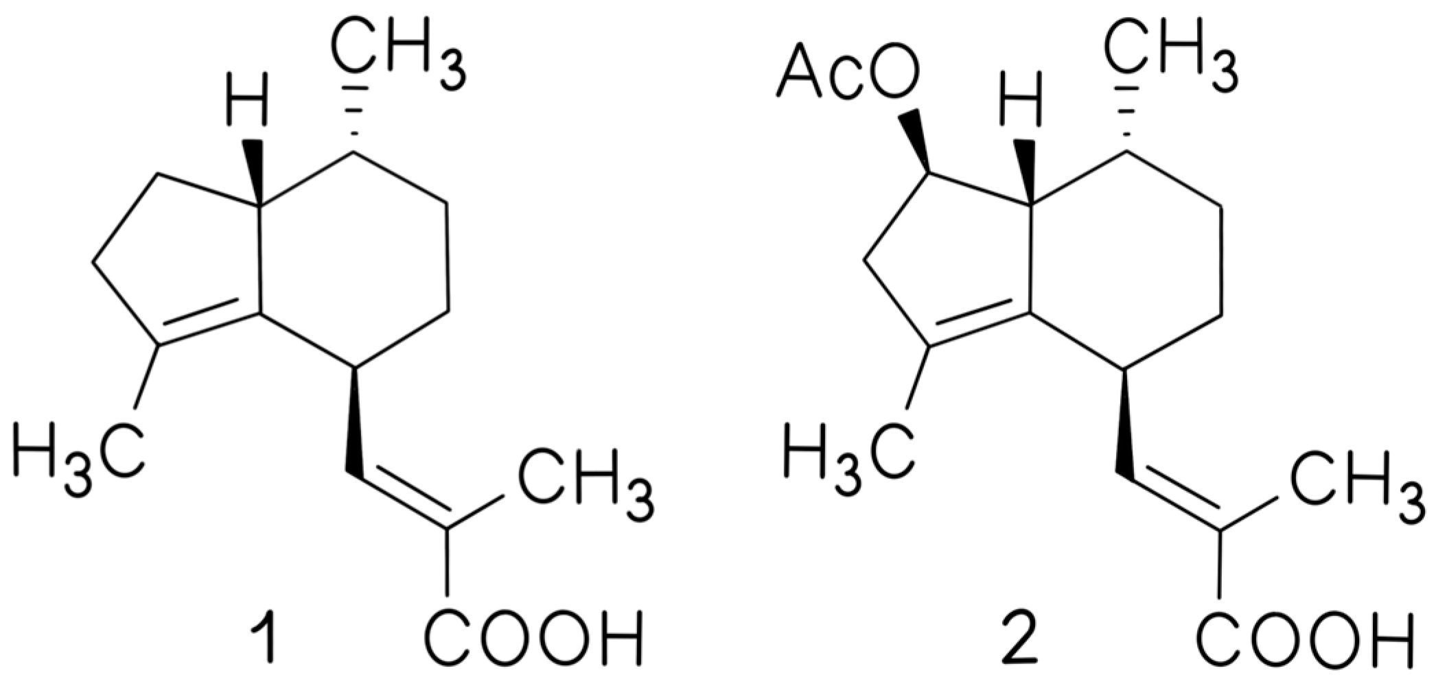 Applsci 14 00554 g001