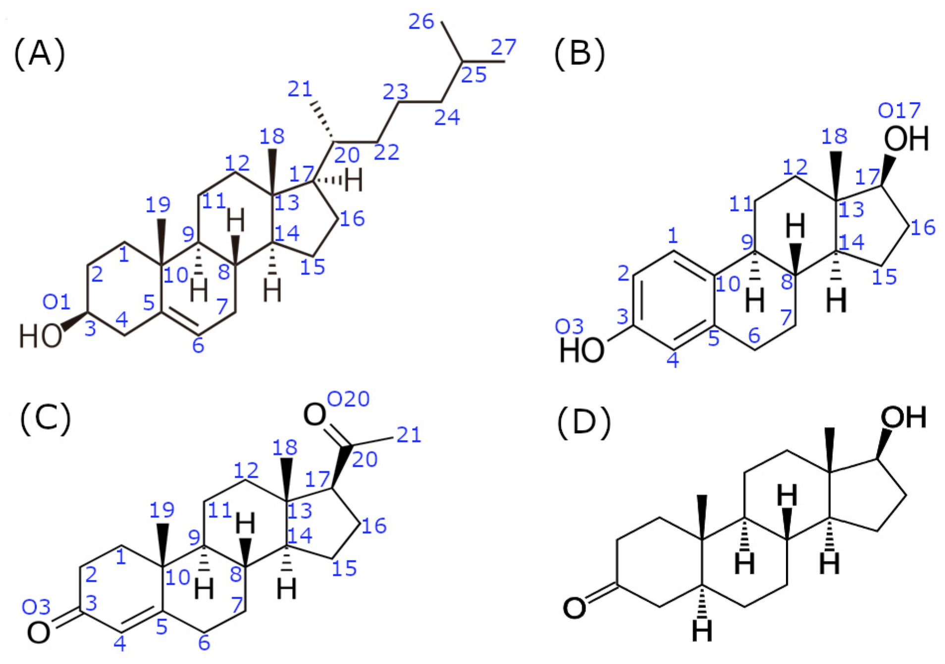 Applsci 14 00562 g001