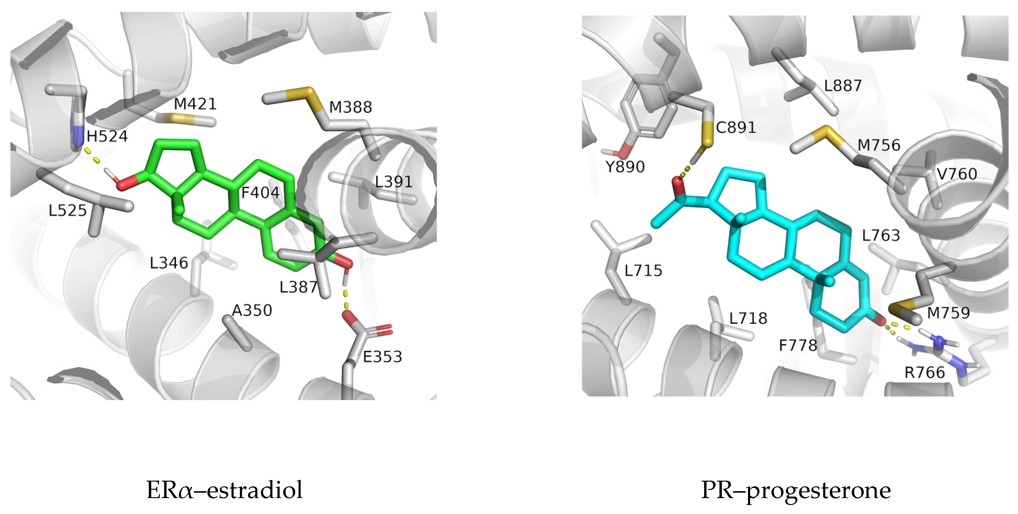 Applsci 14 00562 g004