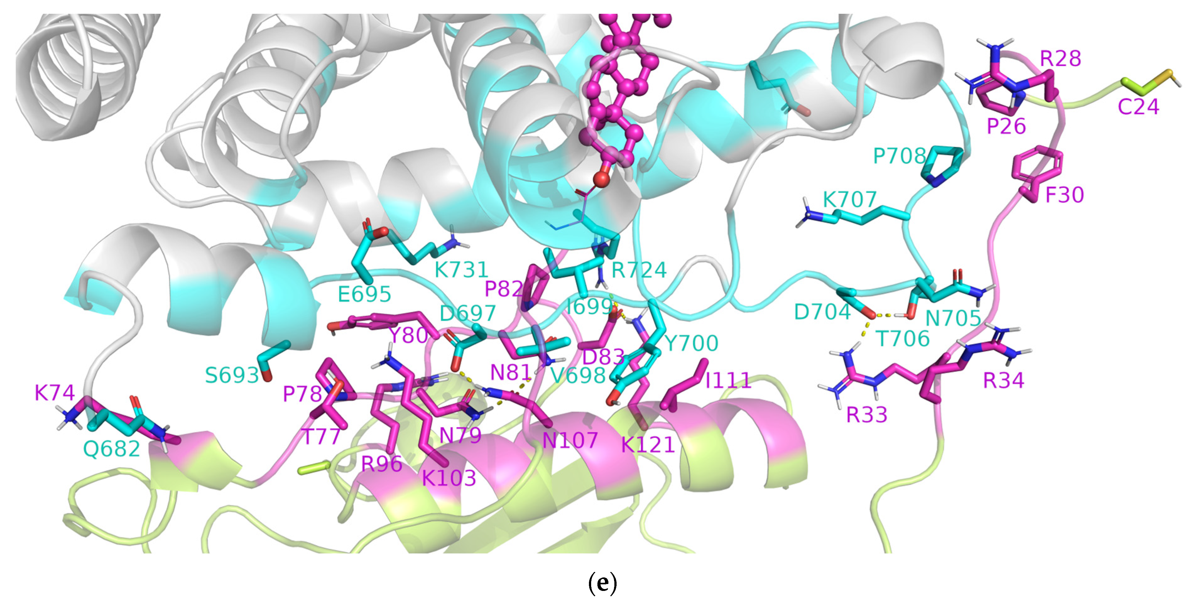Applsci 14 00562 g005b