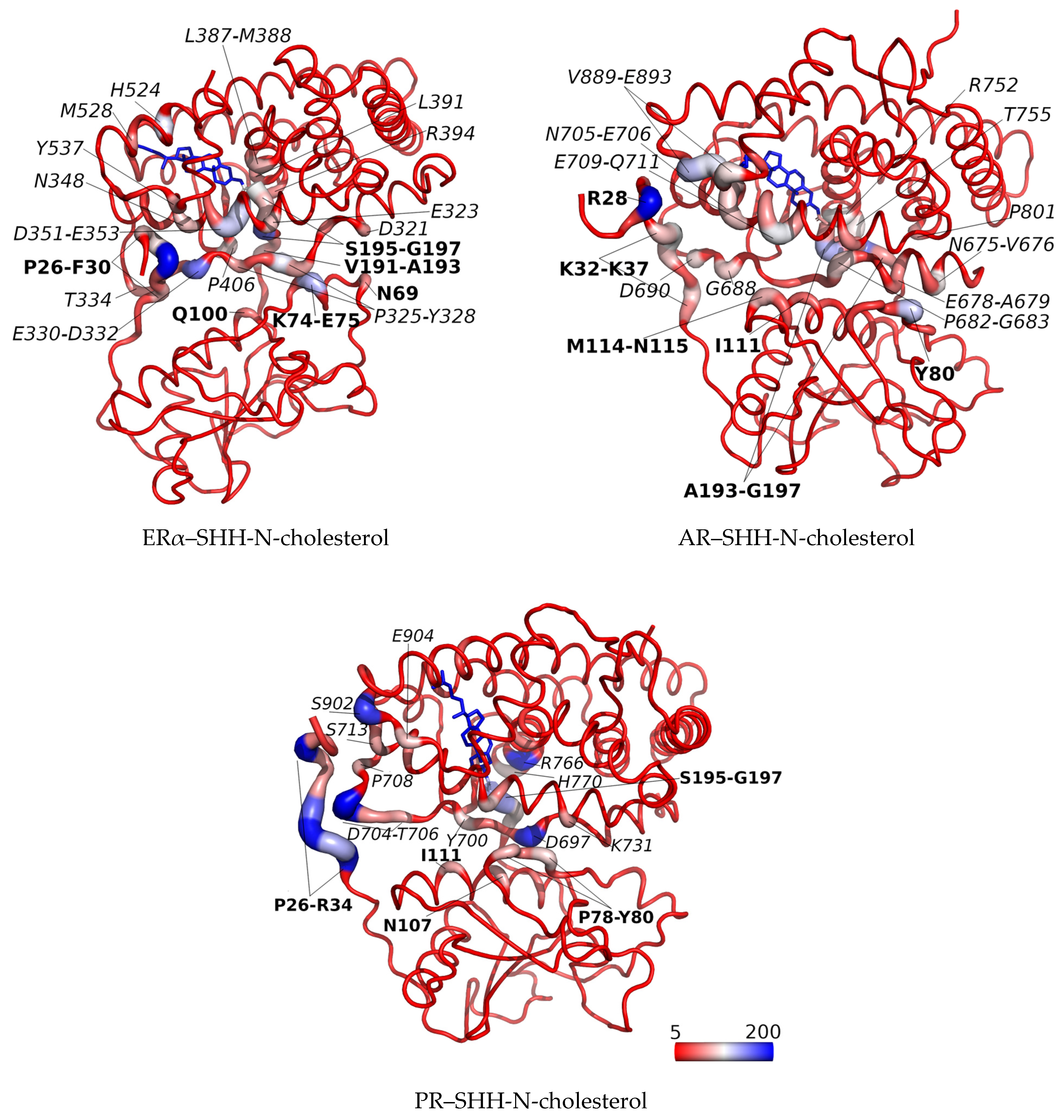 Applsci 14 00562 g006