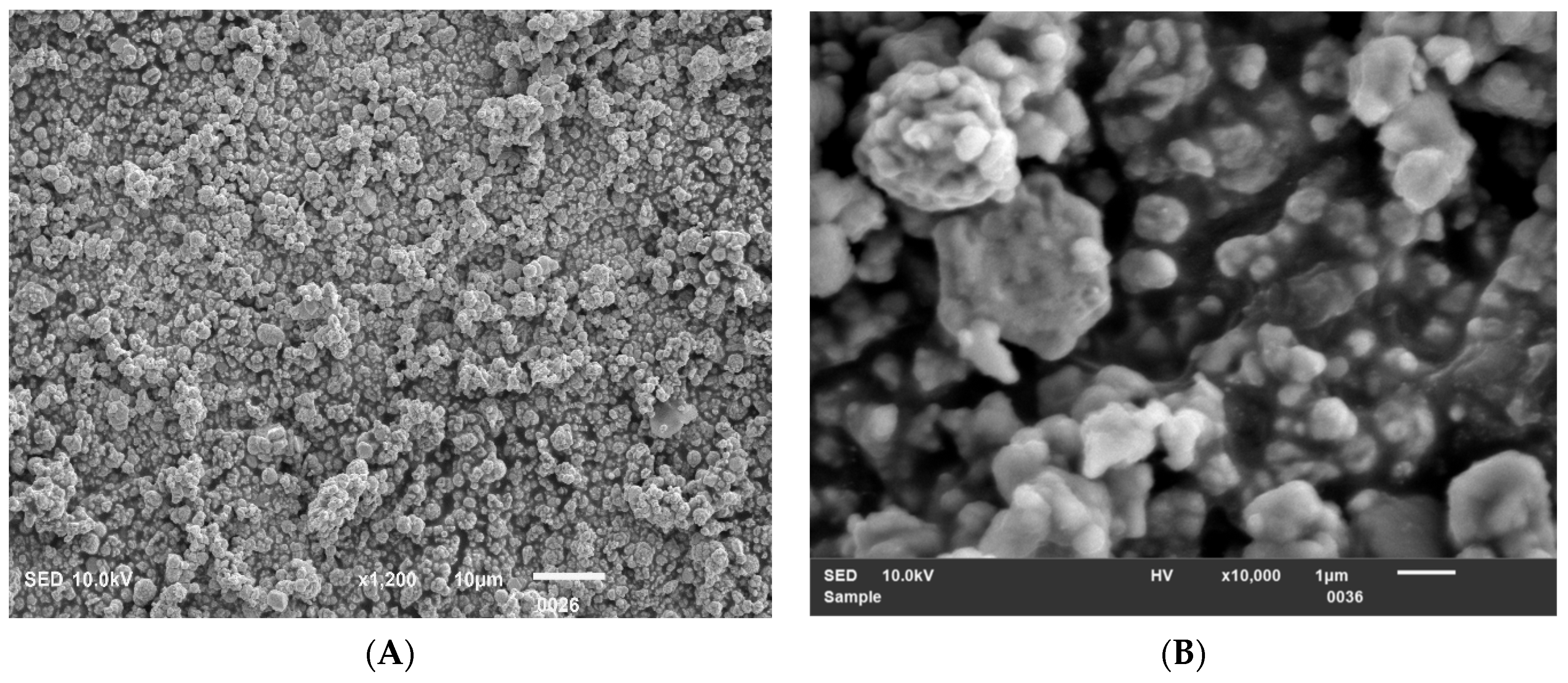 Applsci 14 00563 g001