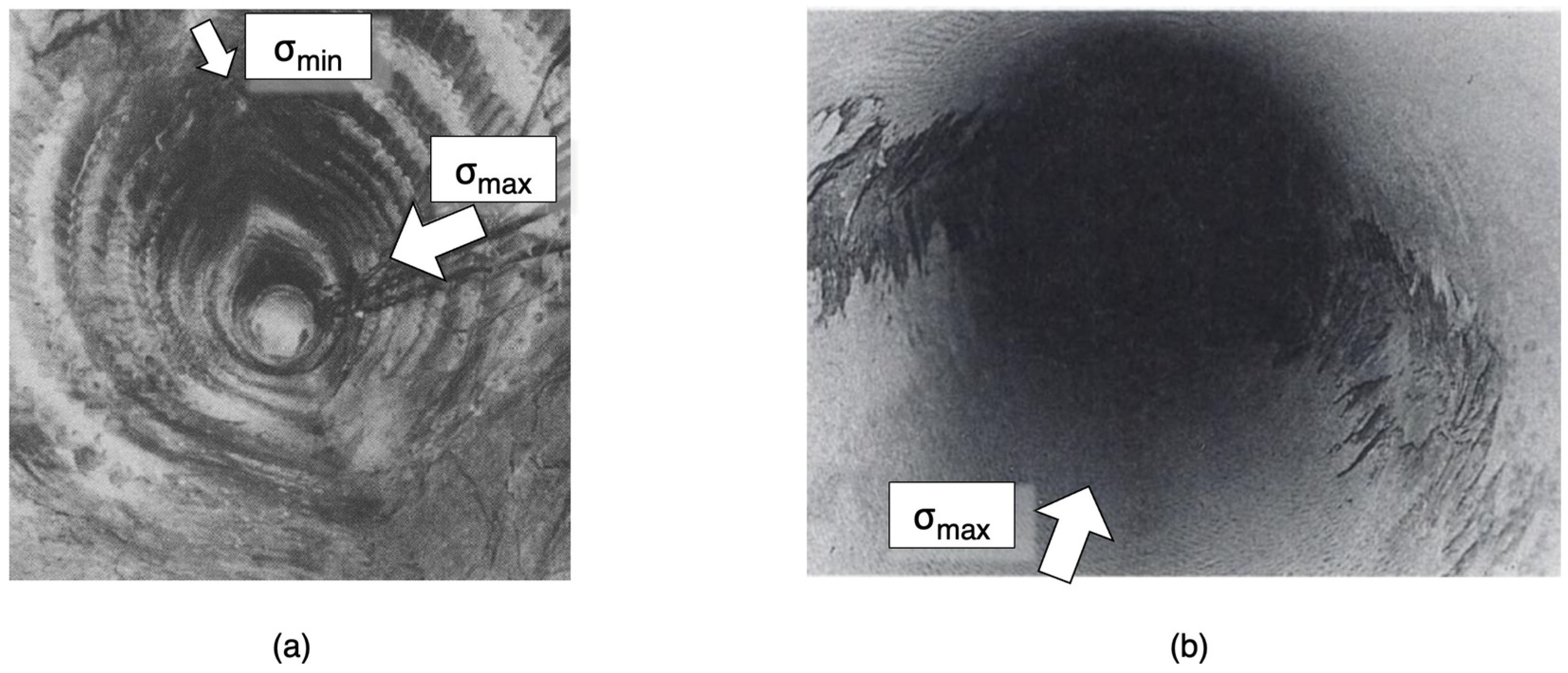 Applsci 14 00591 g001