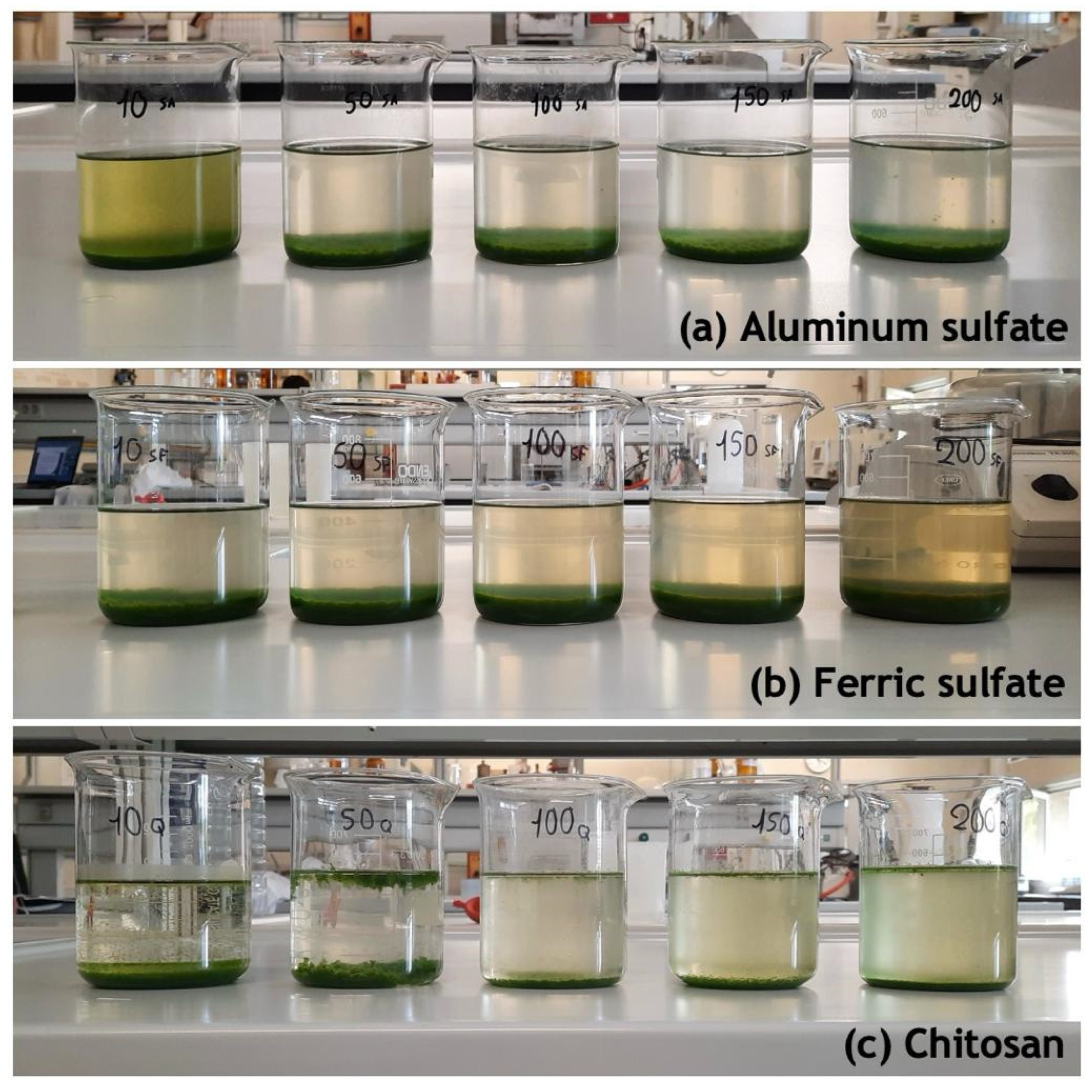 Applsci 14 00598 g001