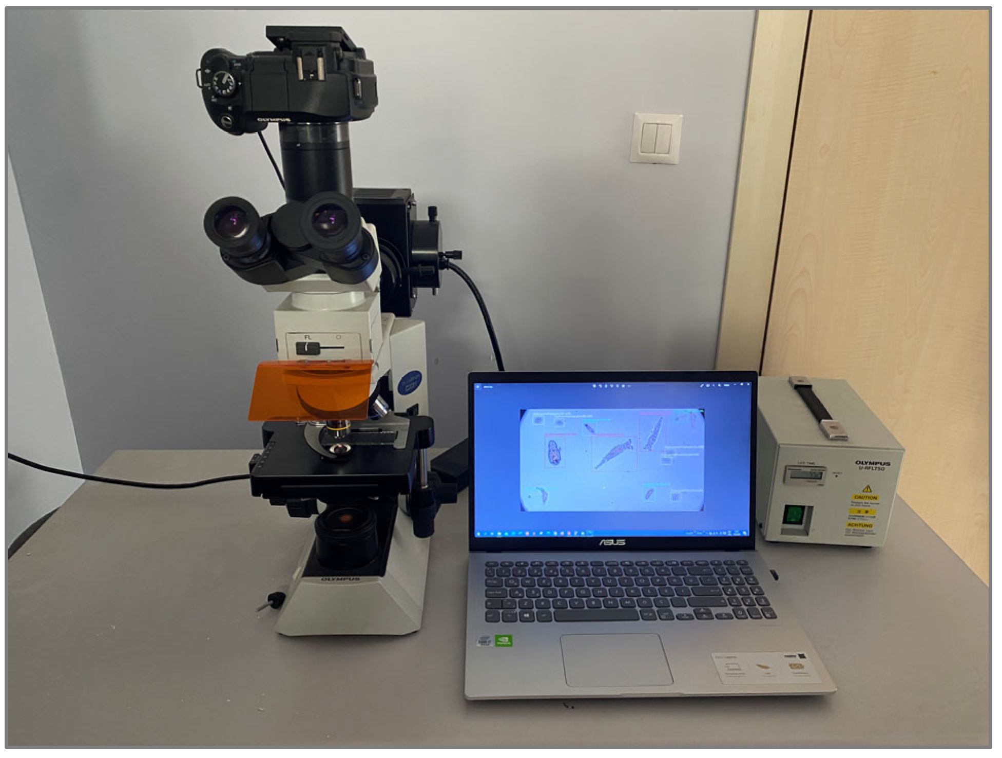 Applsci 14 00607 g003