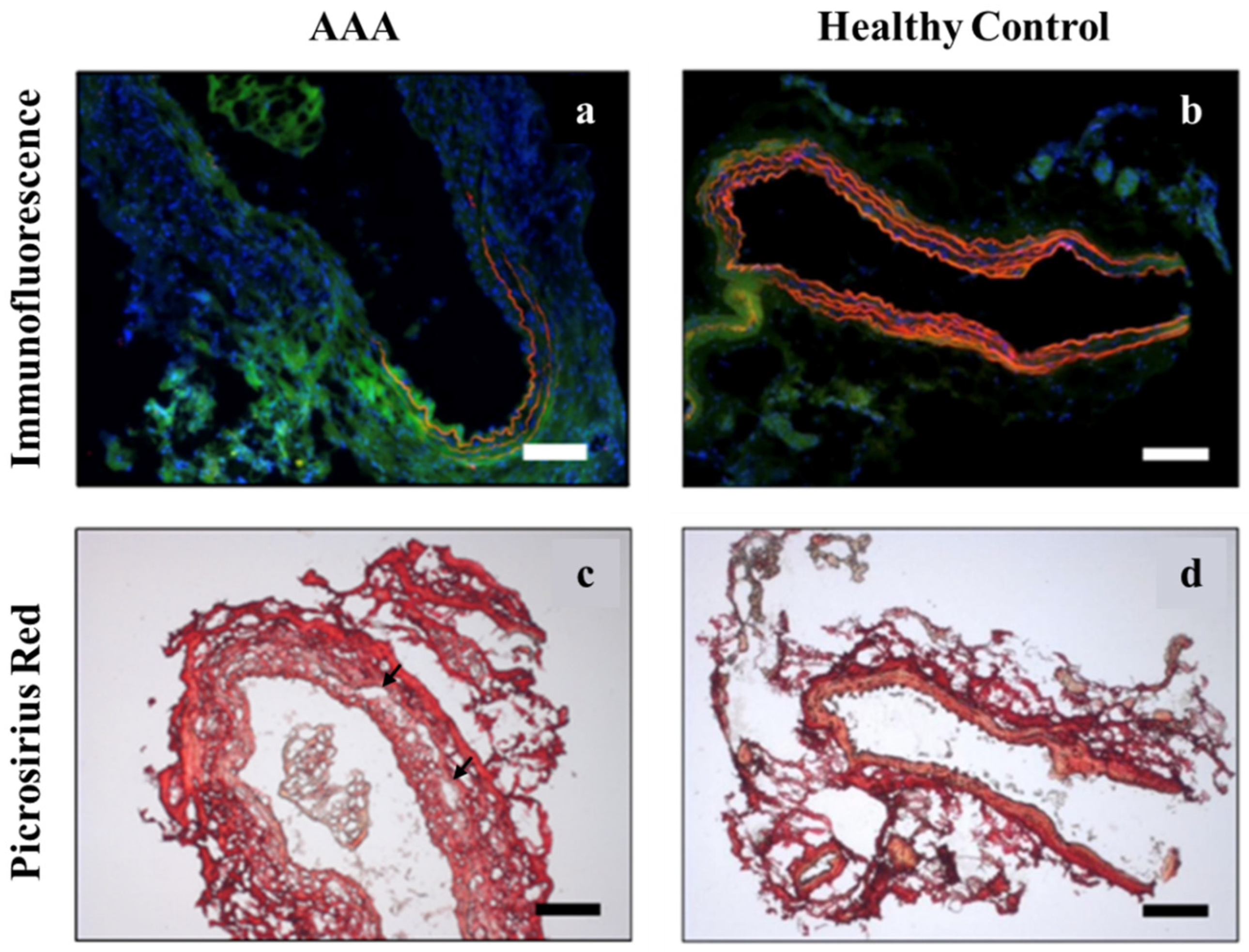 Applsci 14 00613 g003