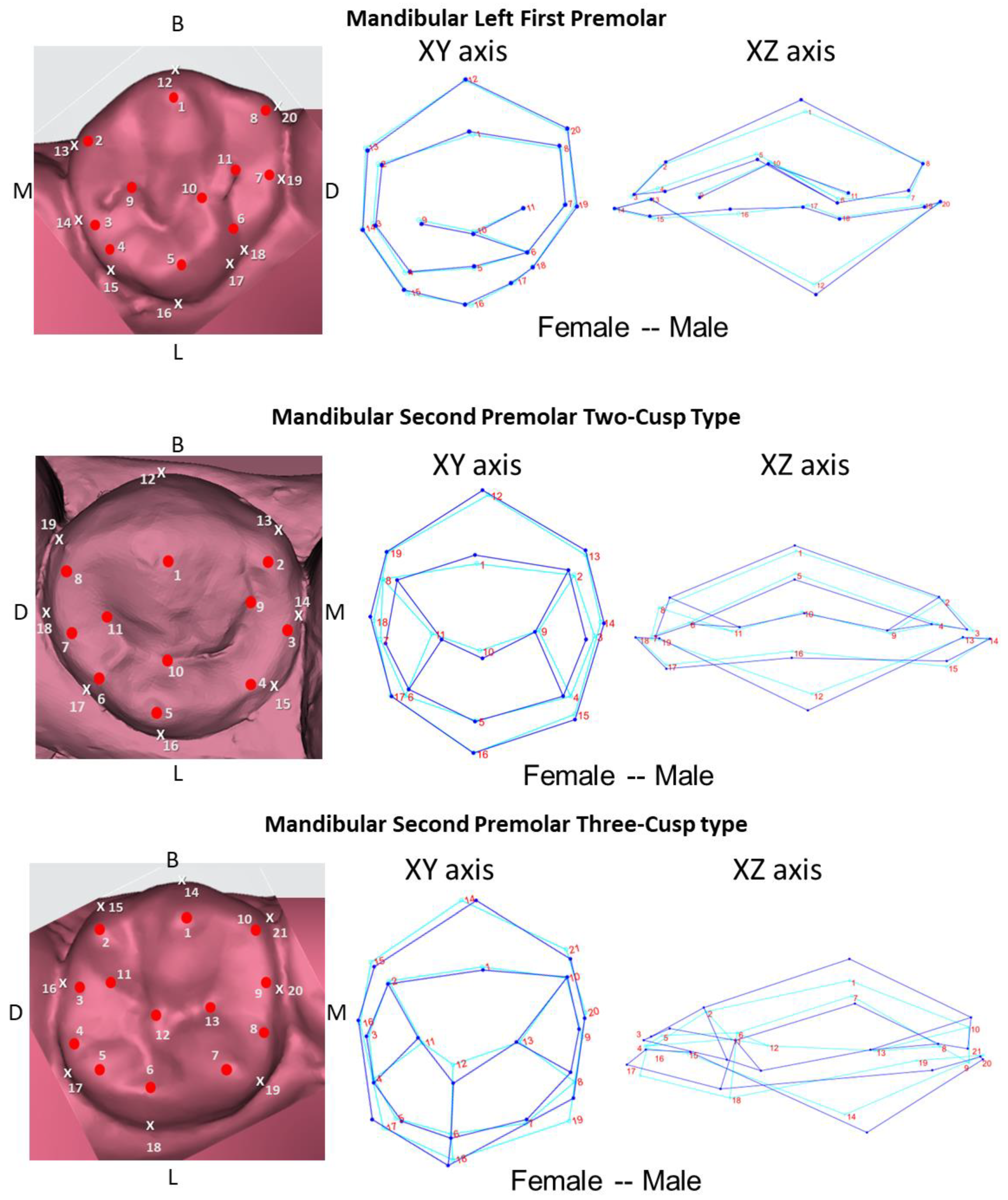 Applsci 14 00658 g002
