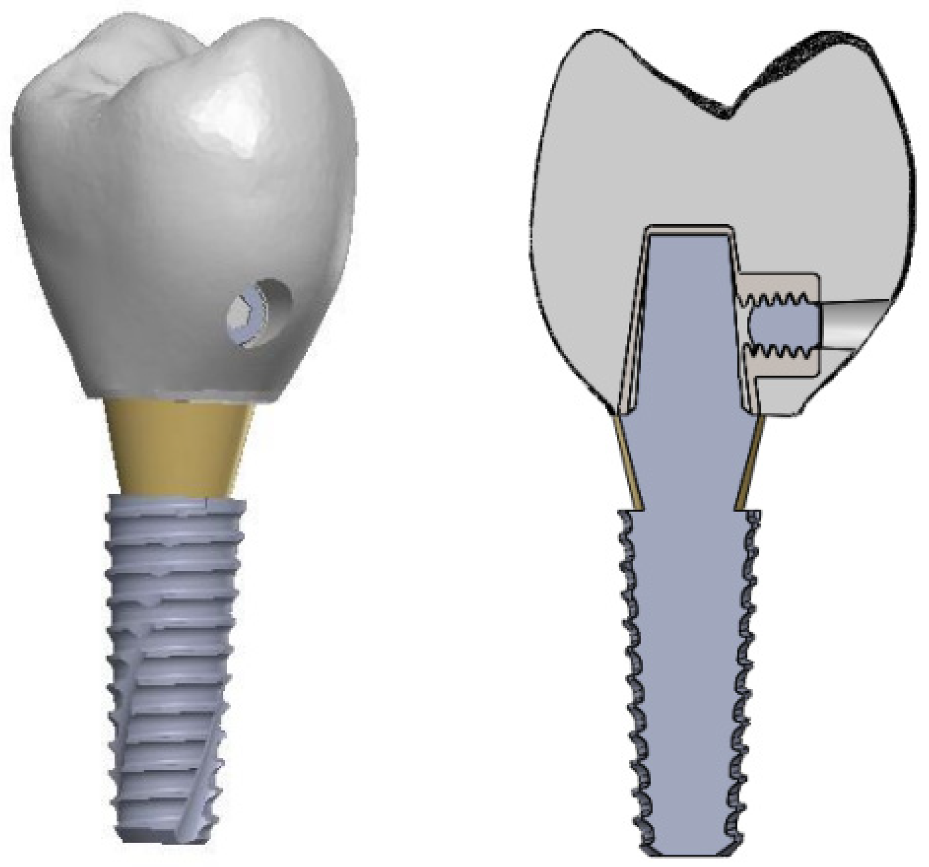 Applsci 14 00660 g001