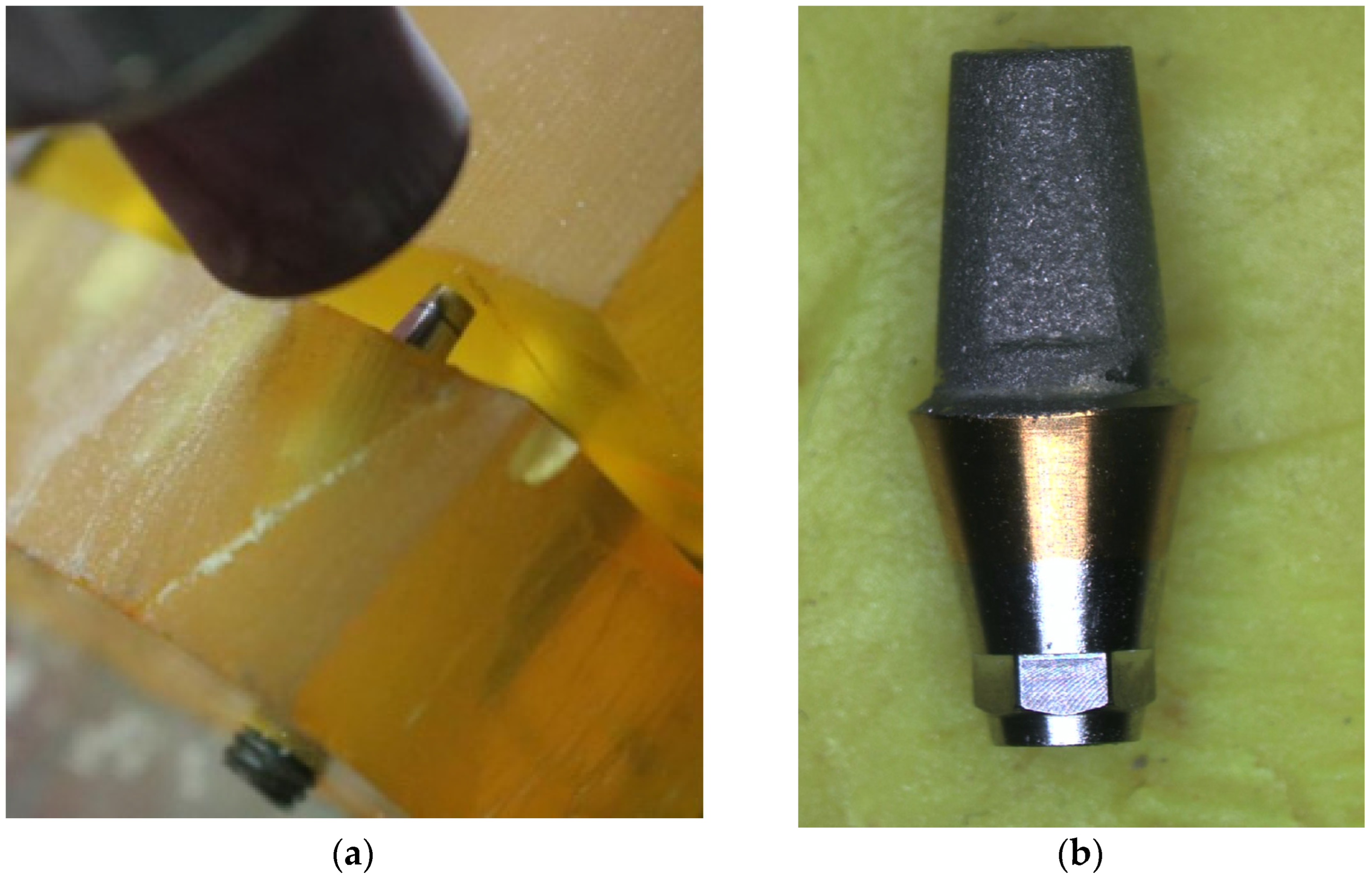 Applsci 14 00660 g003