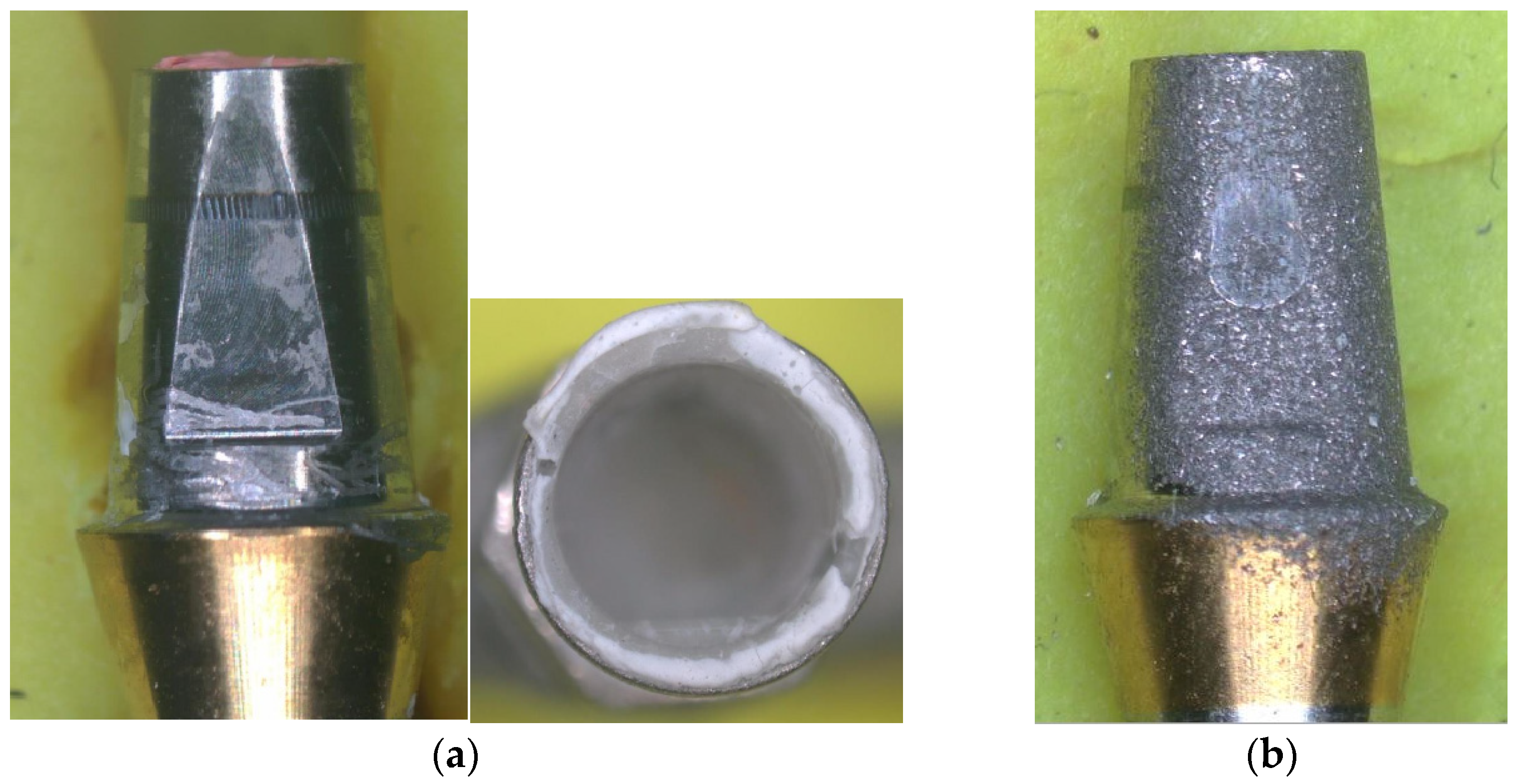 Applsci 14 00660 g011