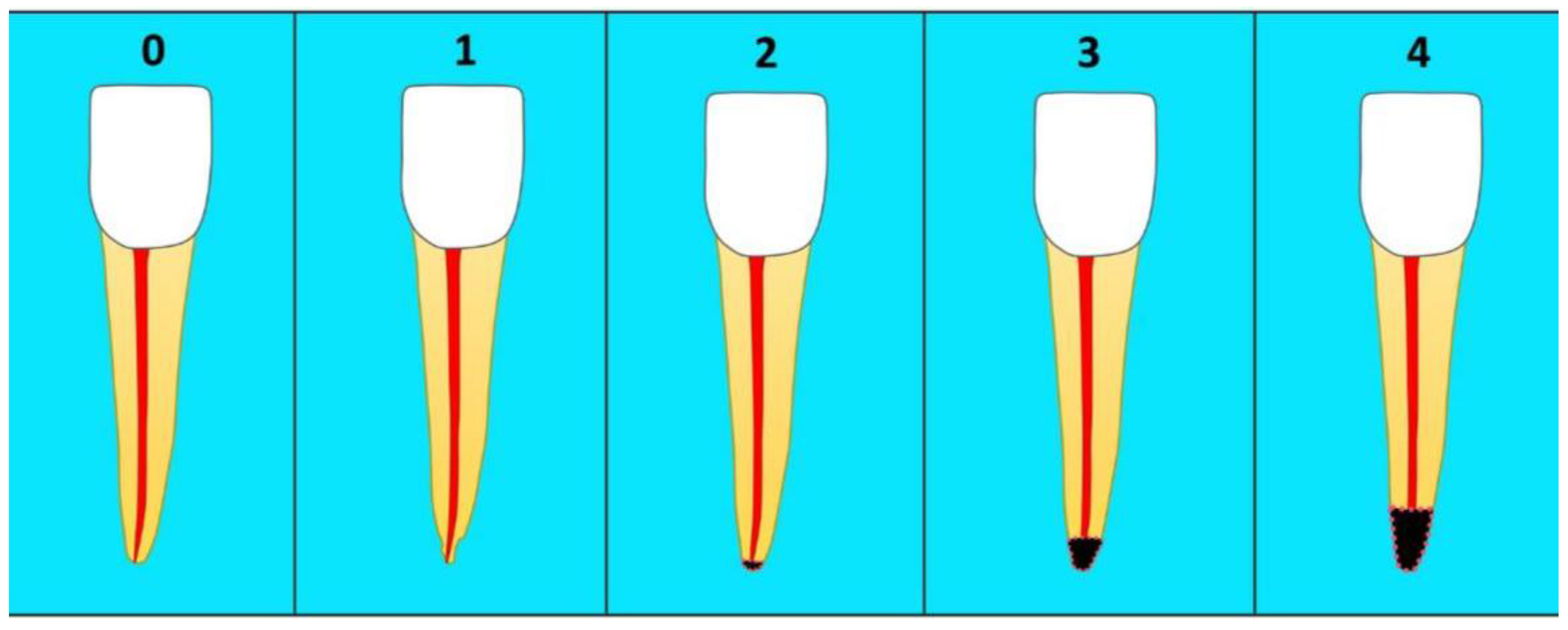 Applsci 14 00690 g001