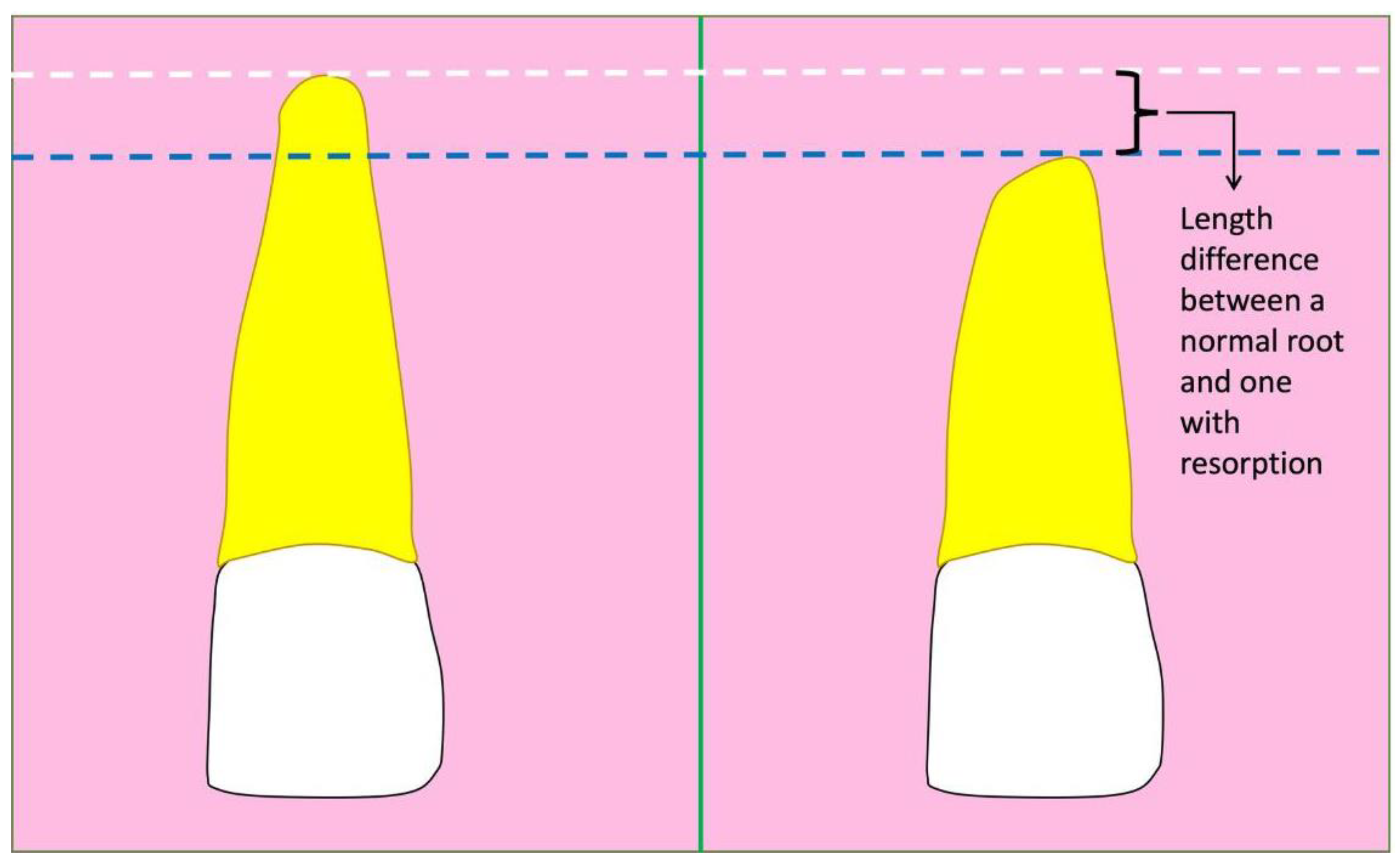 Applsci 14 00690 g002