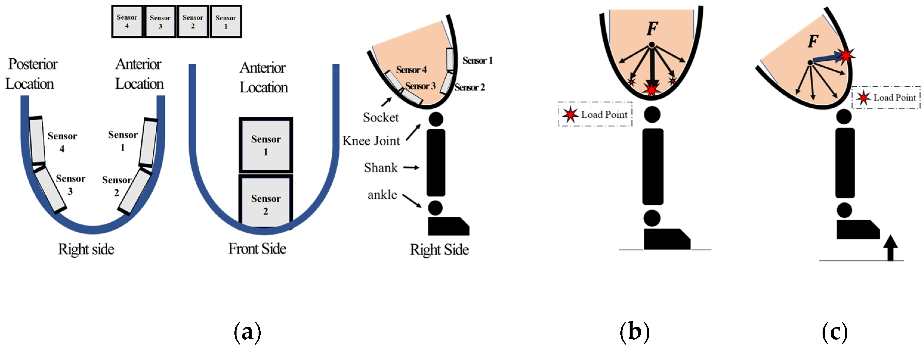 Applsci 14 00734 g004