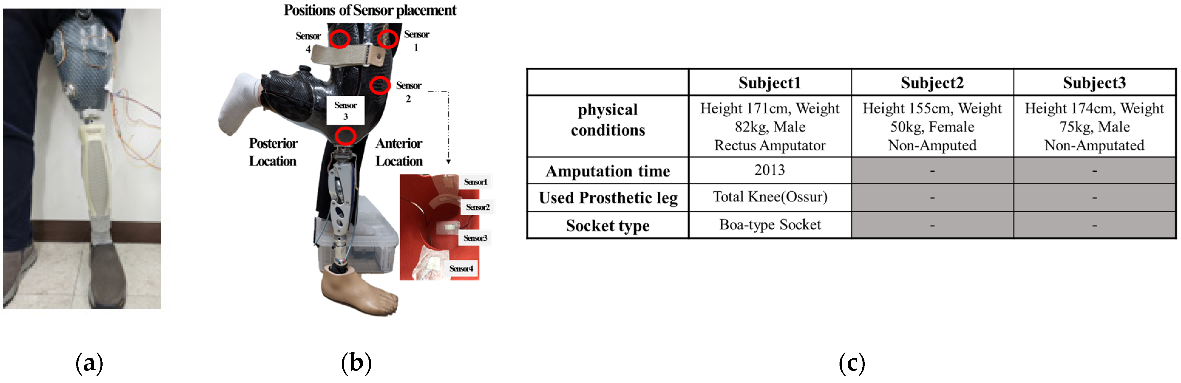 Applsci 14 00734 g011