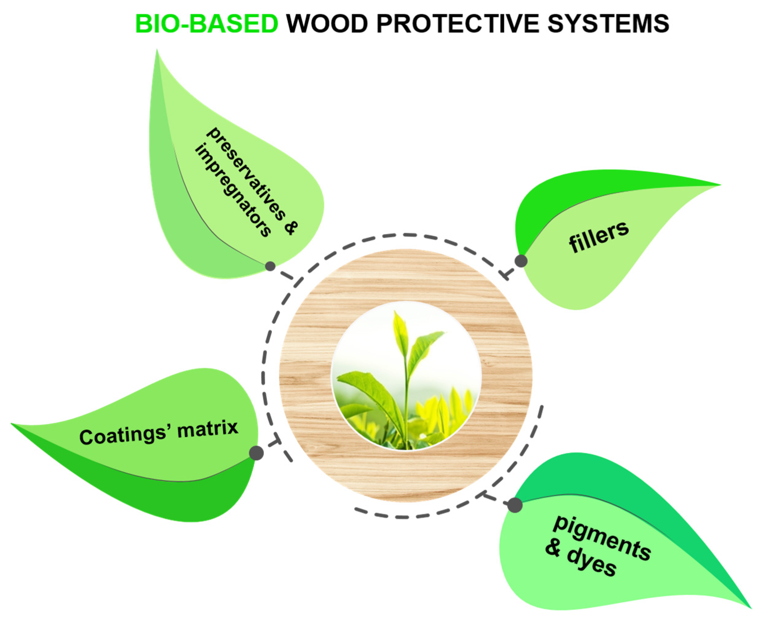 Applsci 14 00736 g001