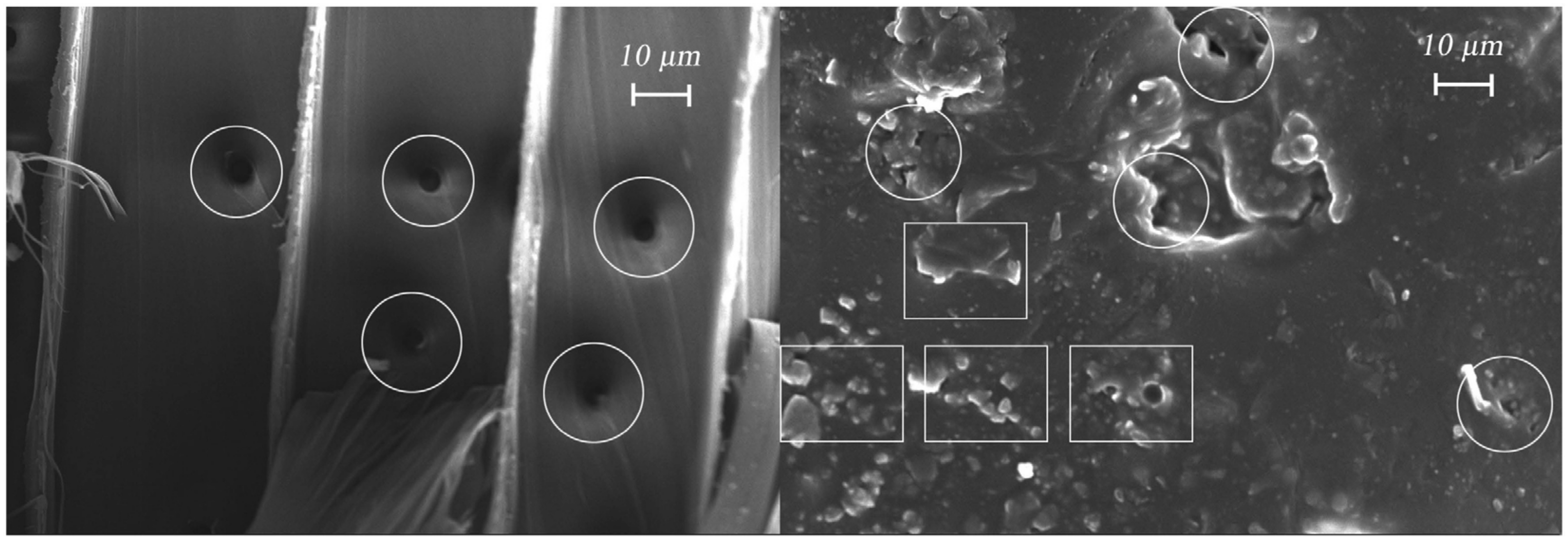 Applsci 14 00736 g002