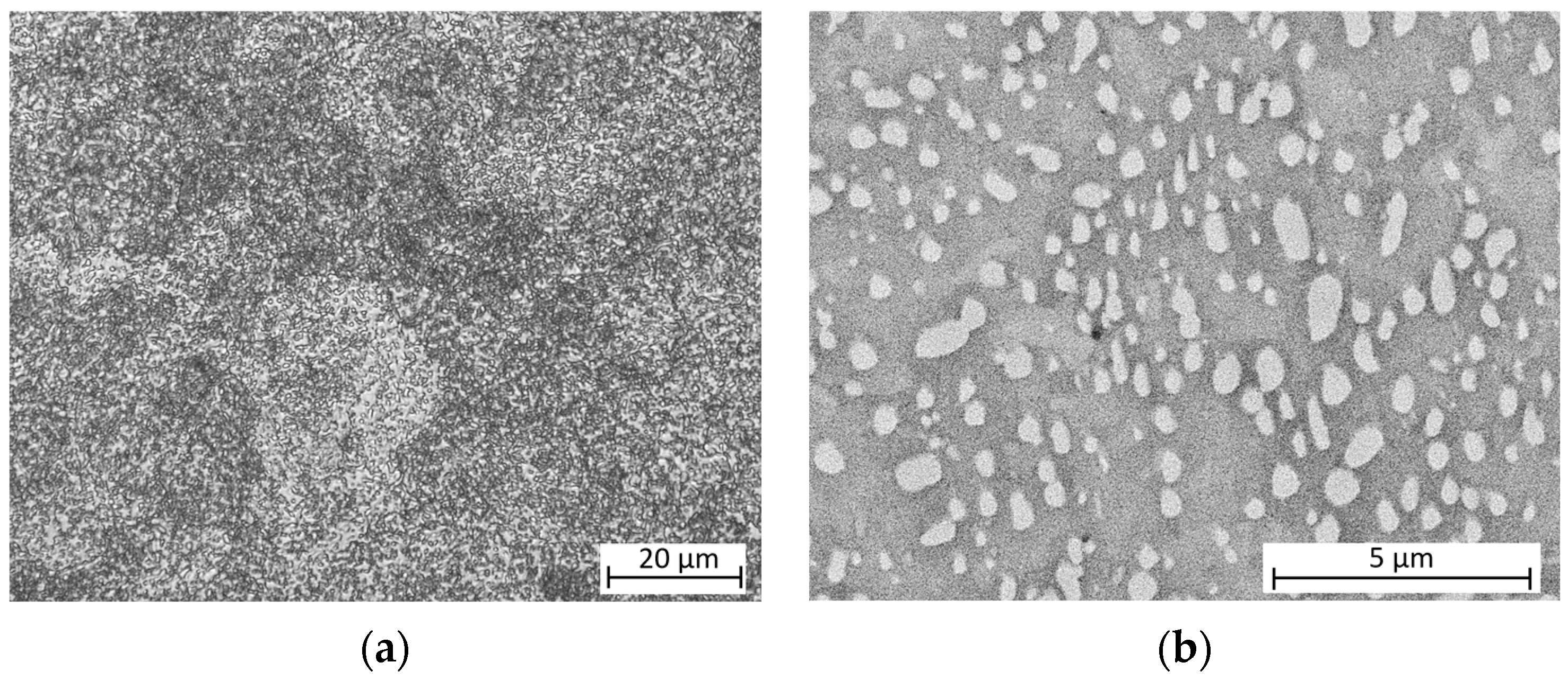 Applsci 14 00737 g005