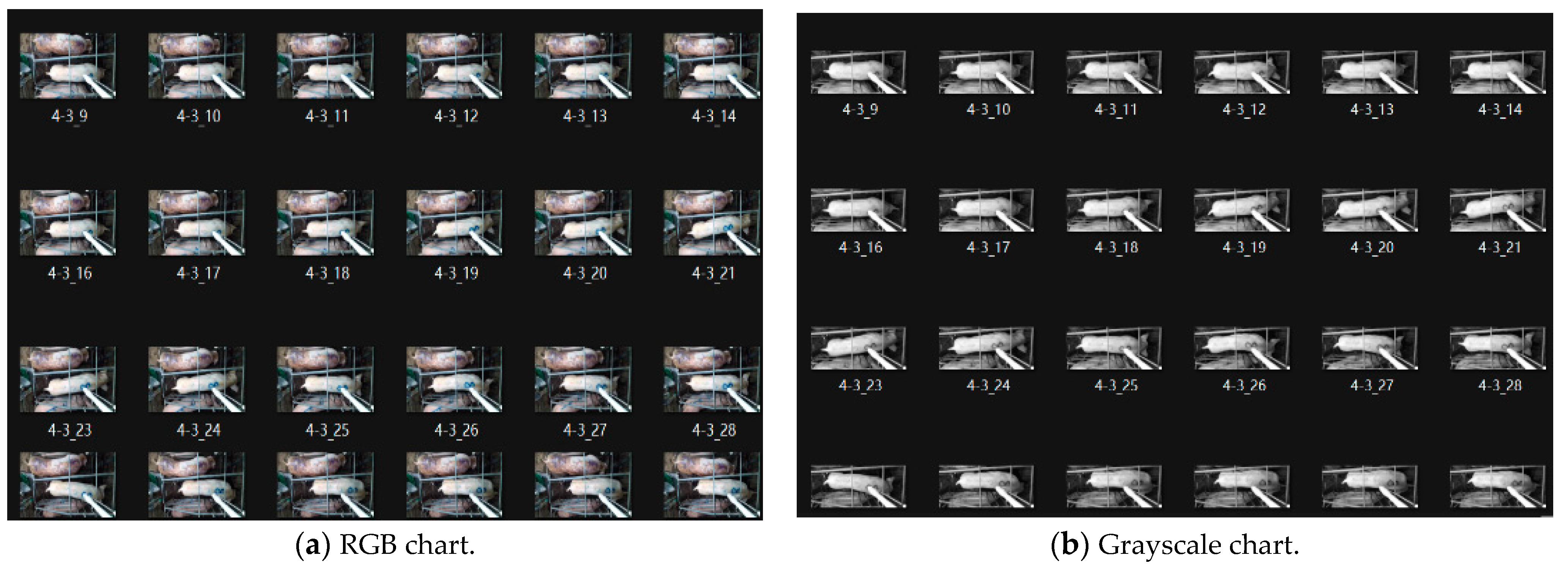 Applsci 14 00752 g001