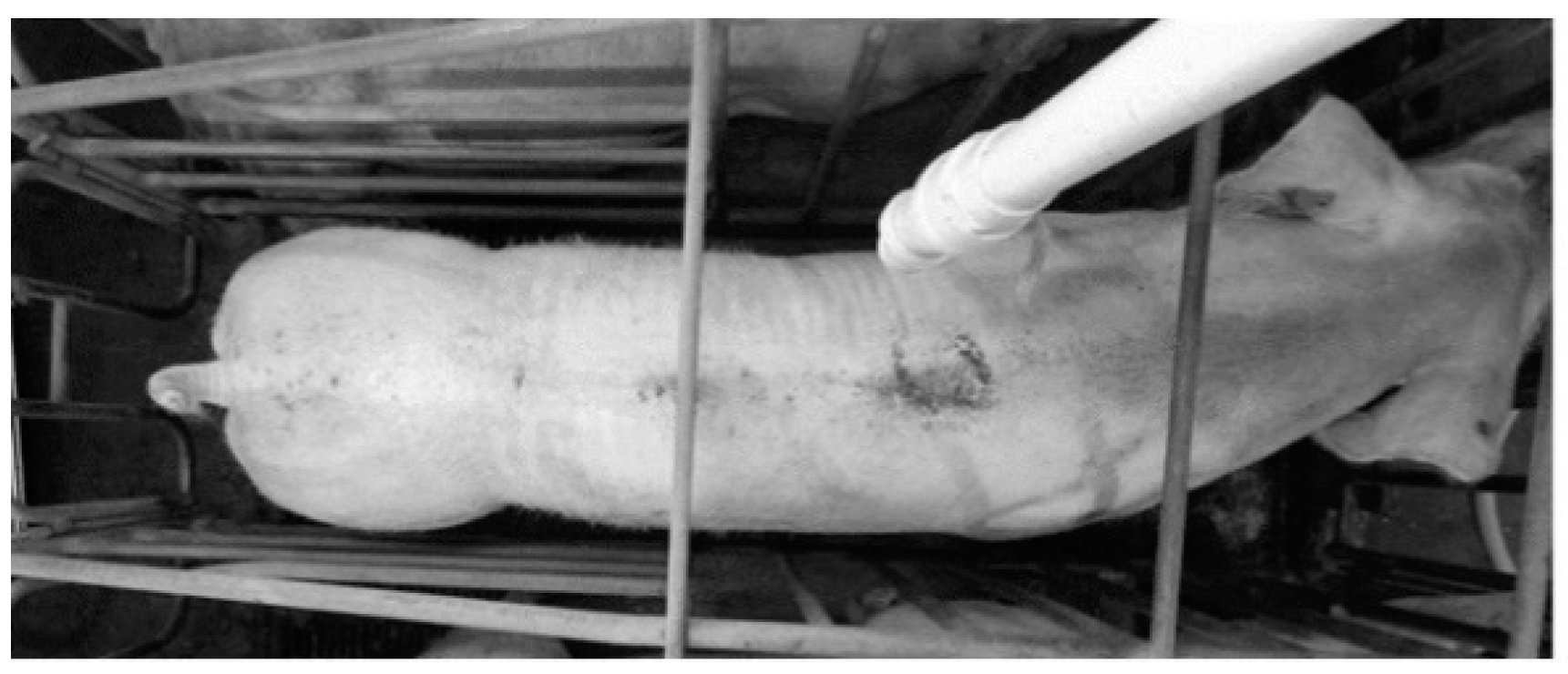 Applsci 14 00752 g004