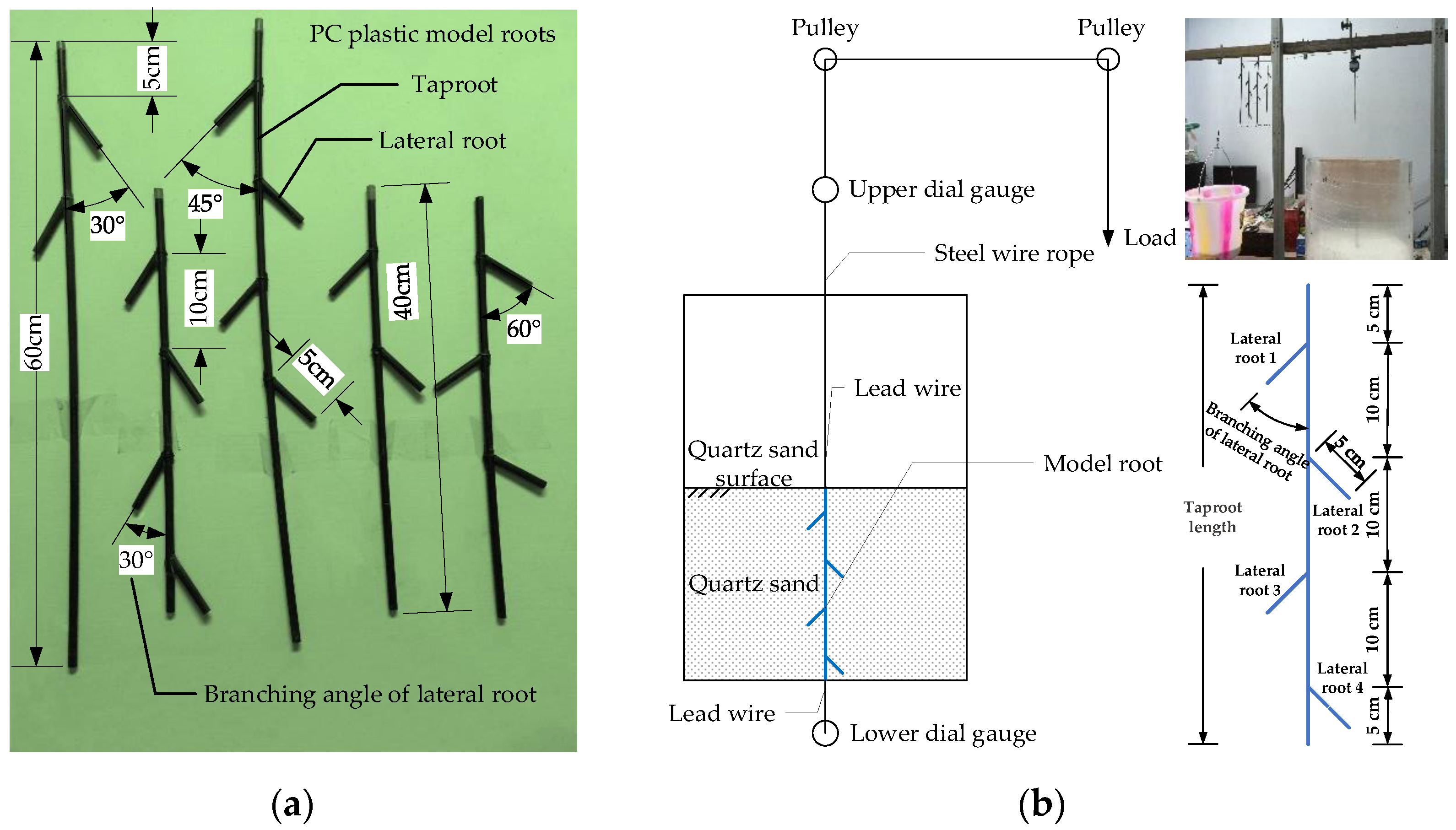 Applsci 14 00764 g001