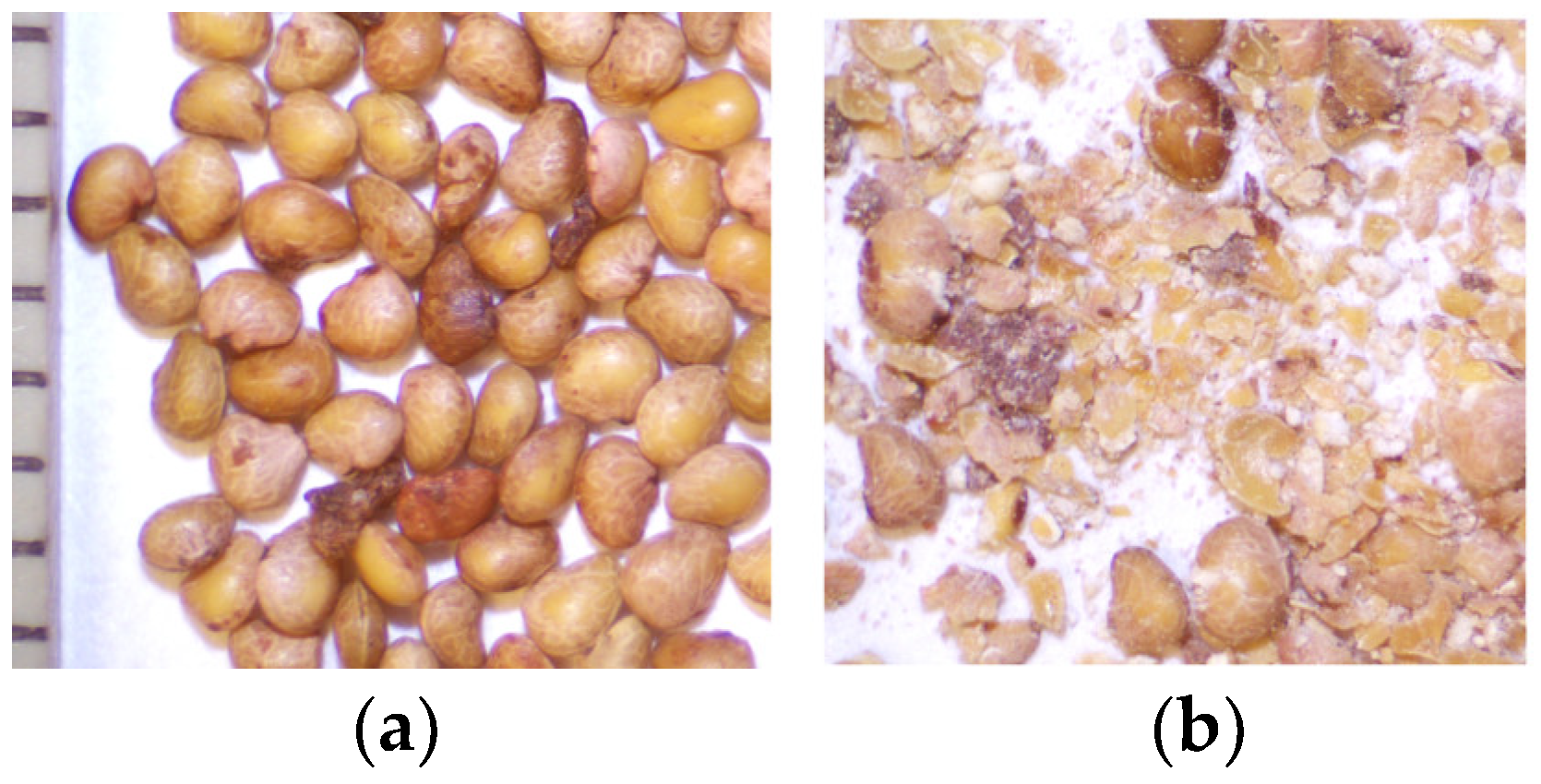 Applsci 14 00783 g001