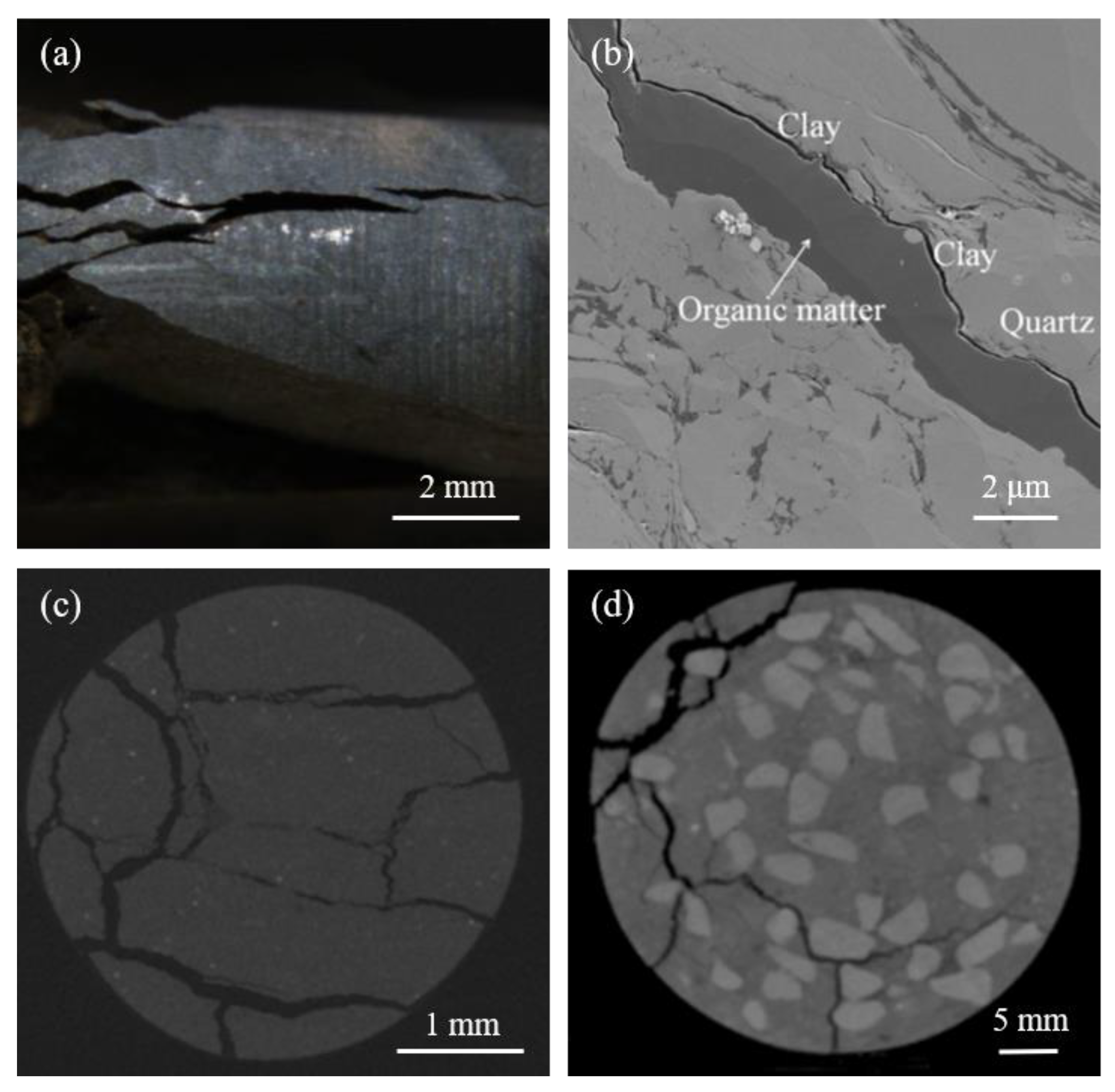 Applsci 14 00784 g002