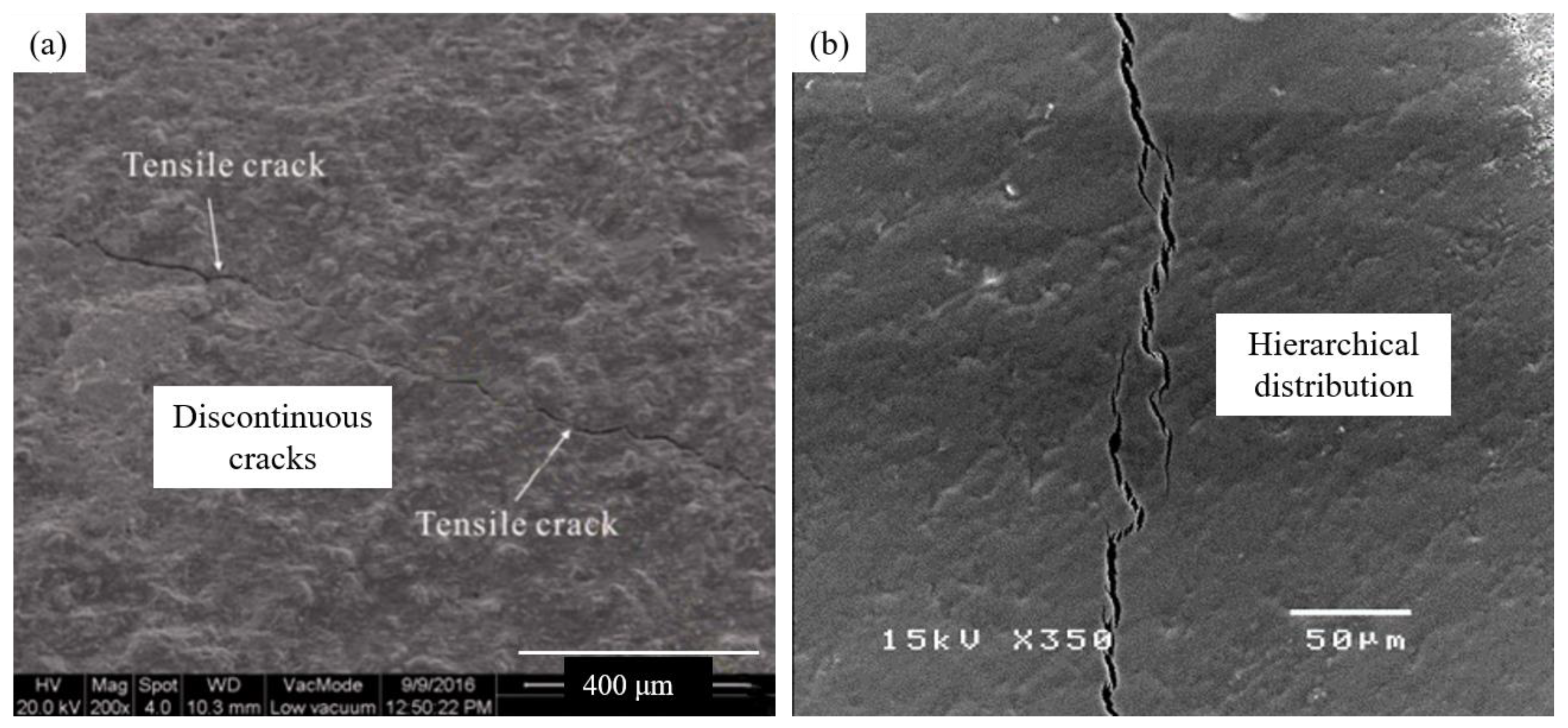 Applsci 14 00784 g004