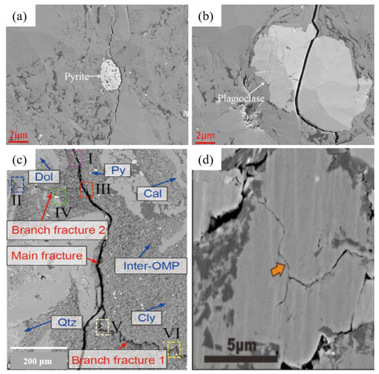 Applsci 14 00784 g005