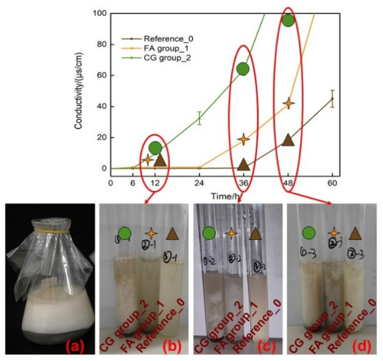 Applsci 14 00799 g005