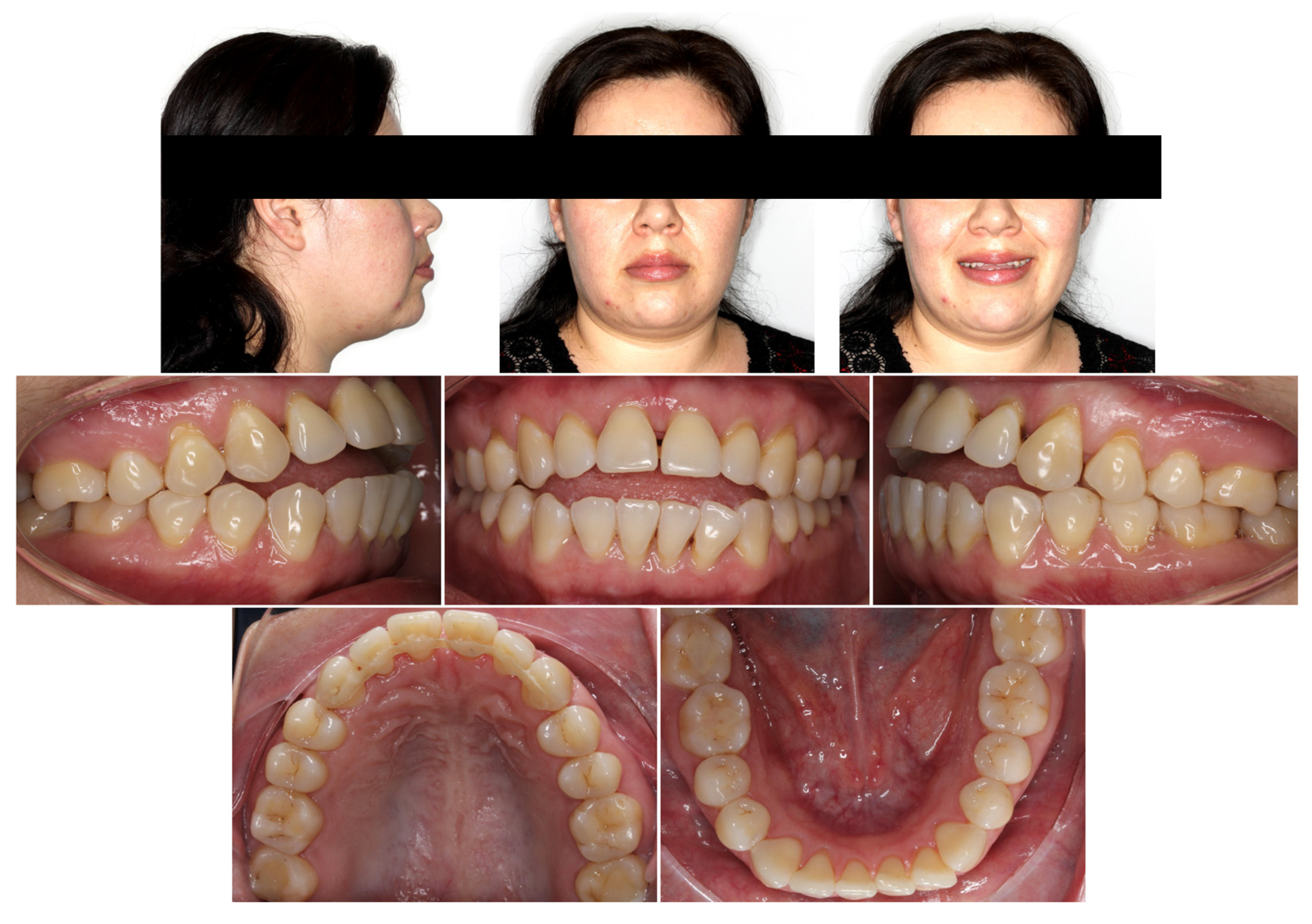 Applsci 14 00811 g001 Applsci 14 00811 g001