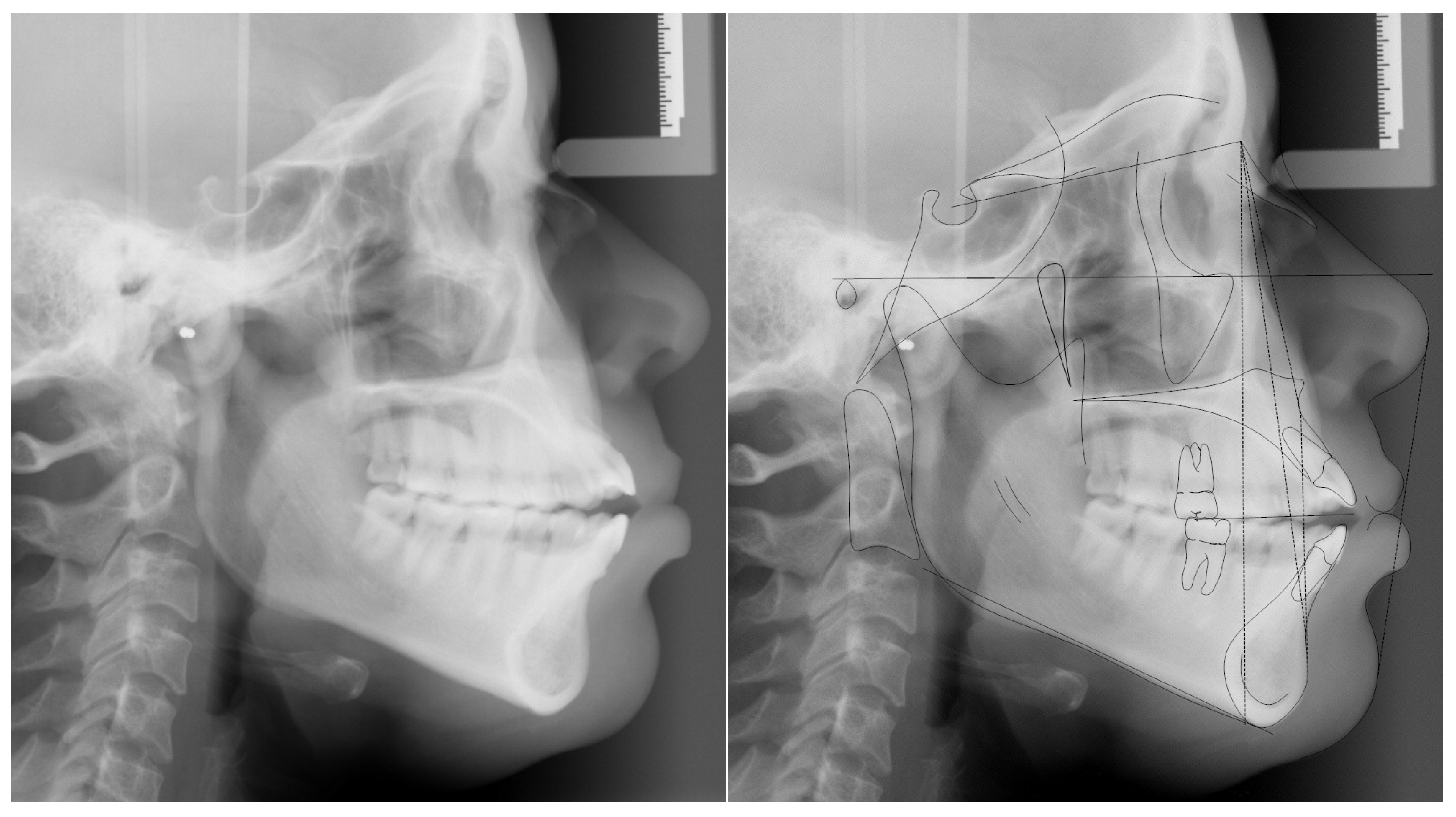 Applsci 14 00811 g003 Applsci 14 00811 g003