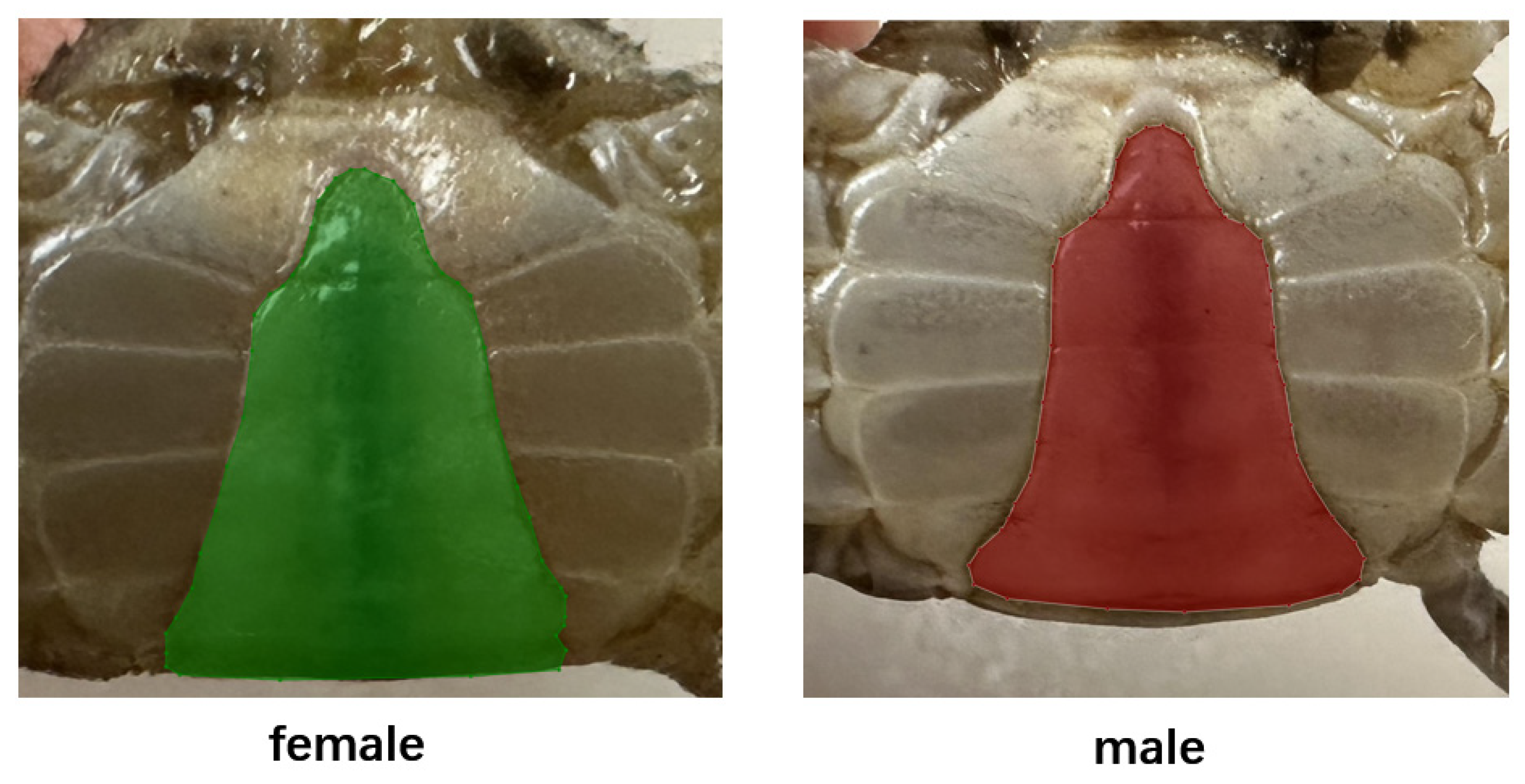 Applsci 14 00908 g002