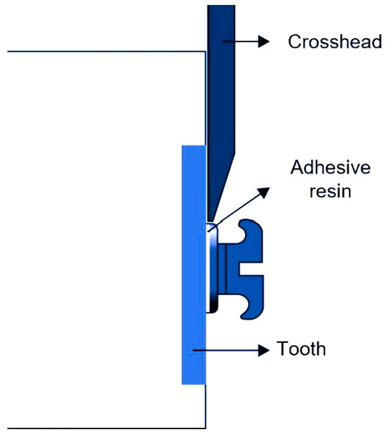 Applsci 14 00924 g003