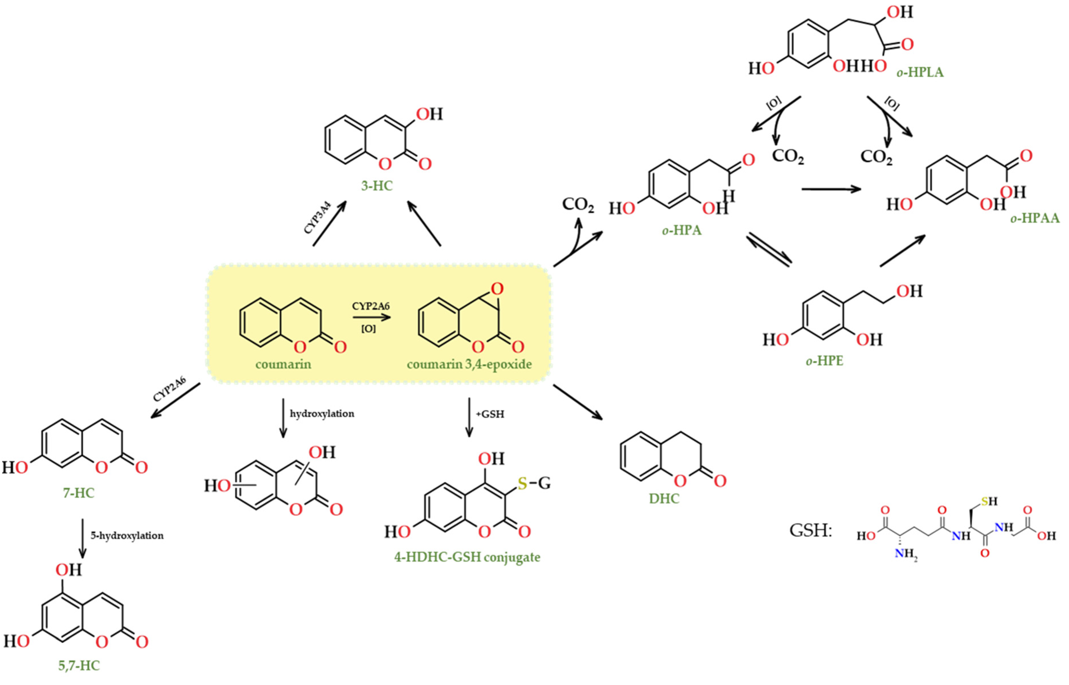 Applsci 14 01010 g015 Applsci 14 01010 g015