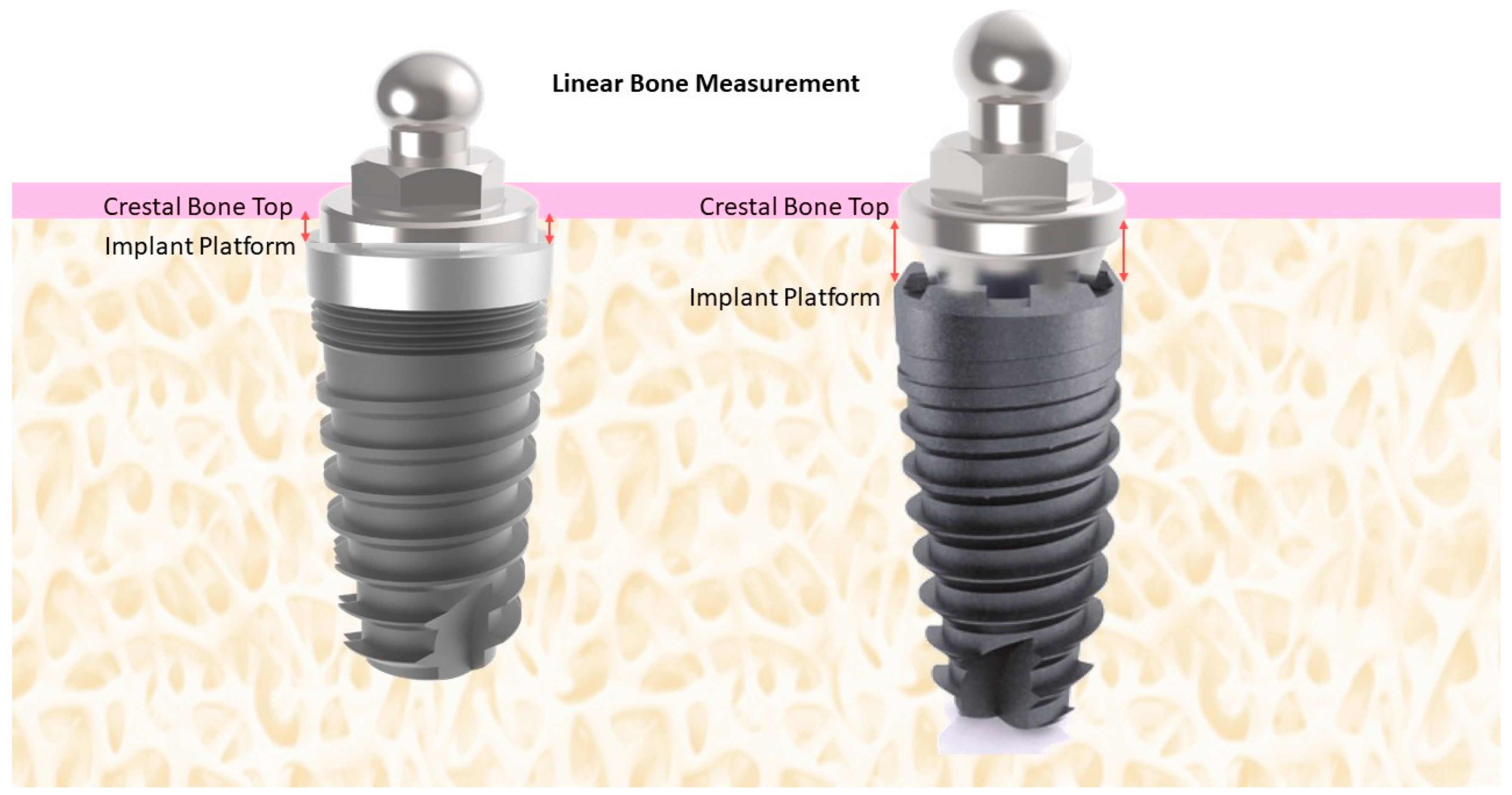 Applsci 14 01026 g001