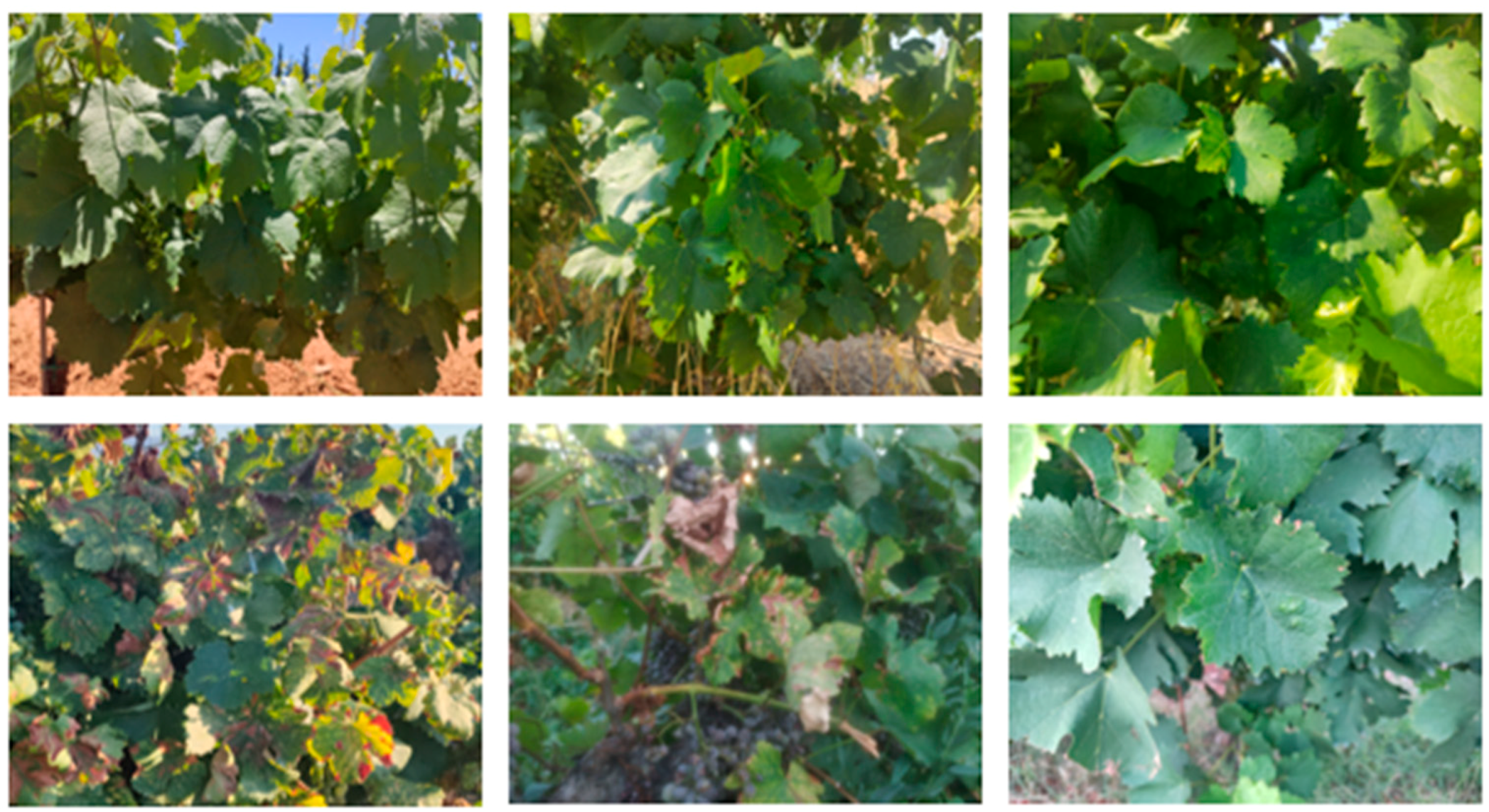 Applsci 14 01049 g001