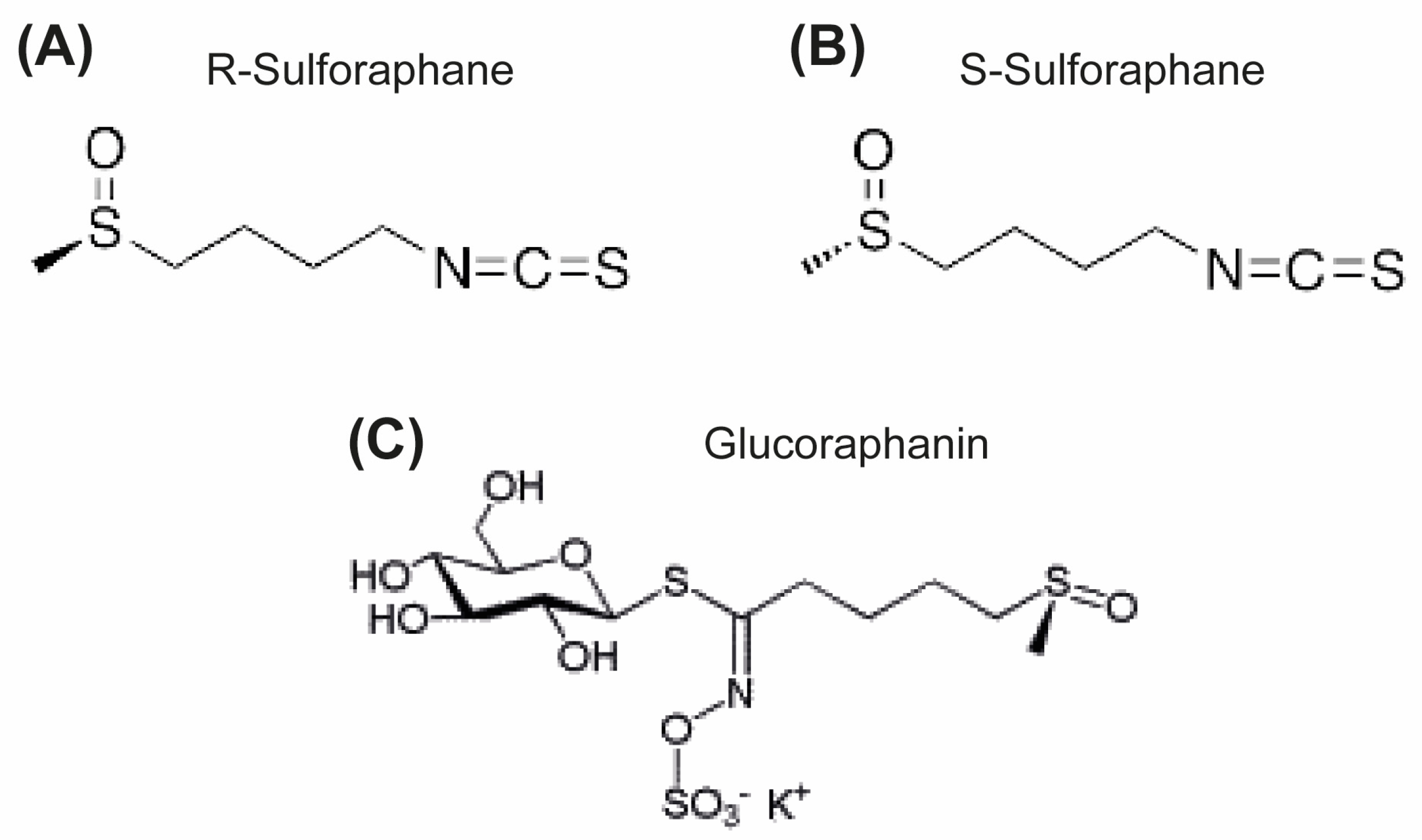 Applsci 14 01052 g001
