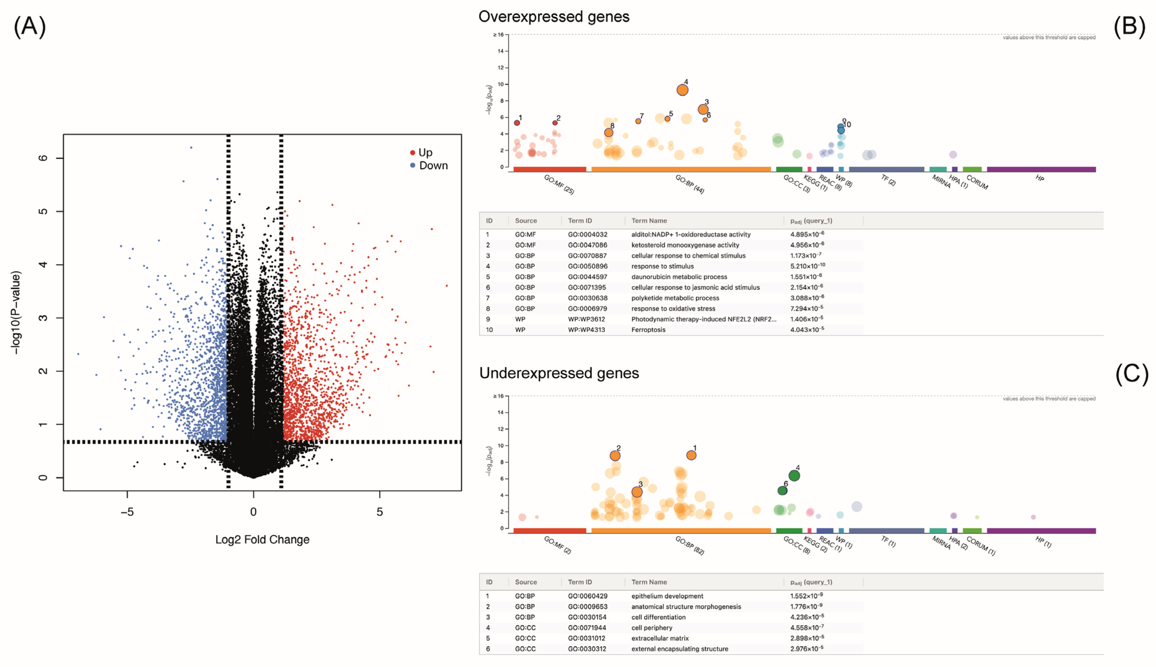 Applsci 14 01052 g003