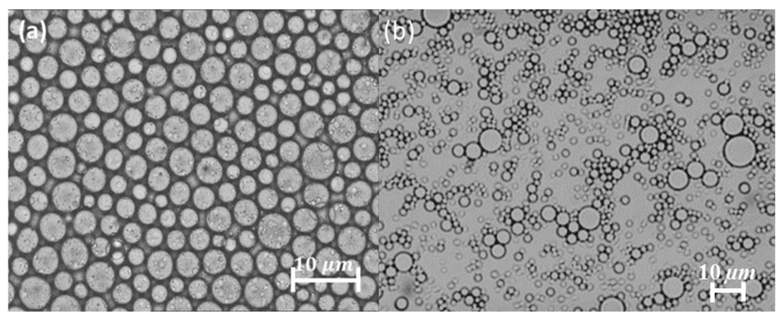 Applsci 14 01069 g002