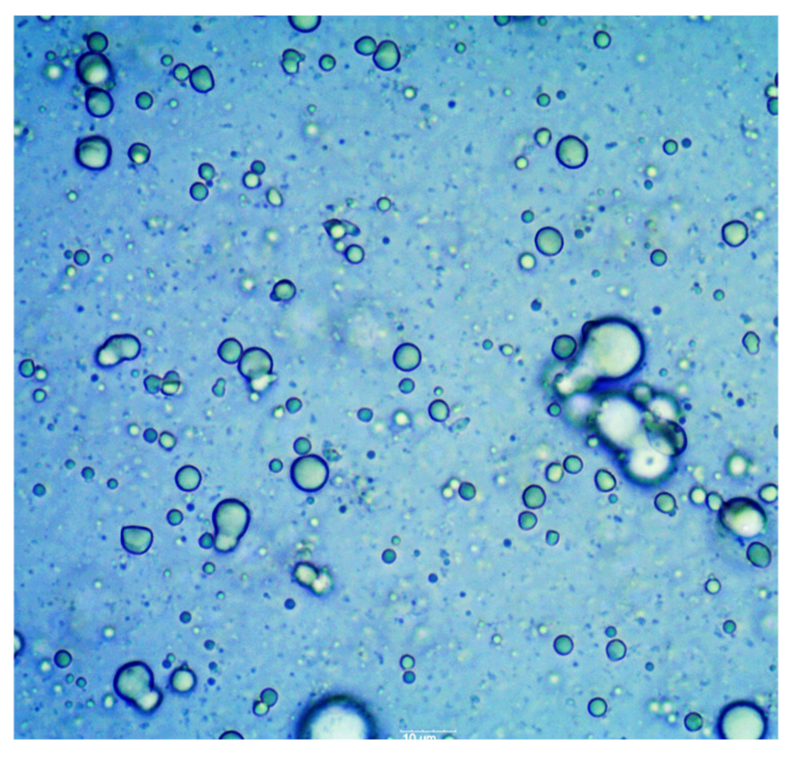 Applsci 14 01069 g003