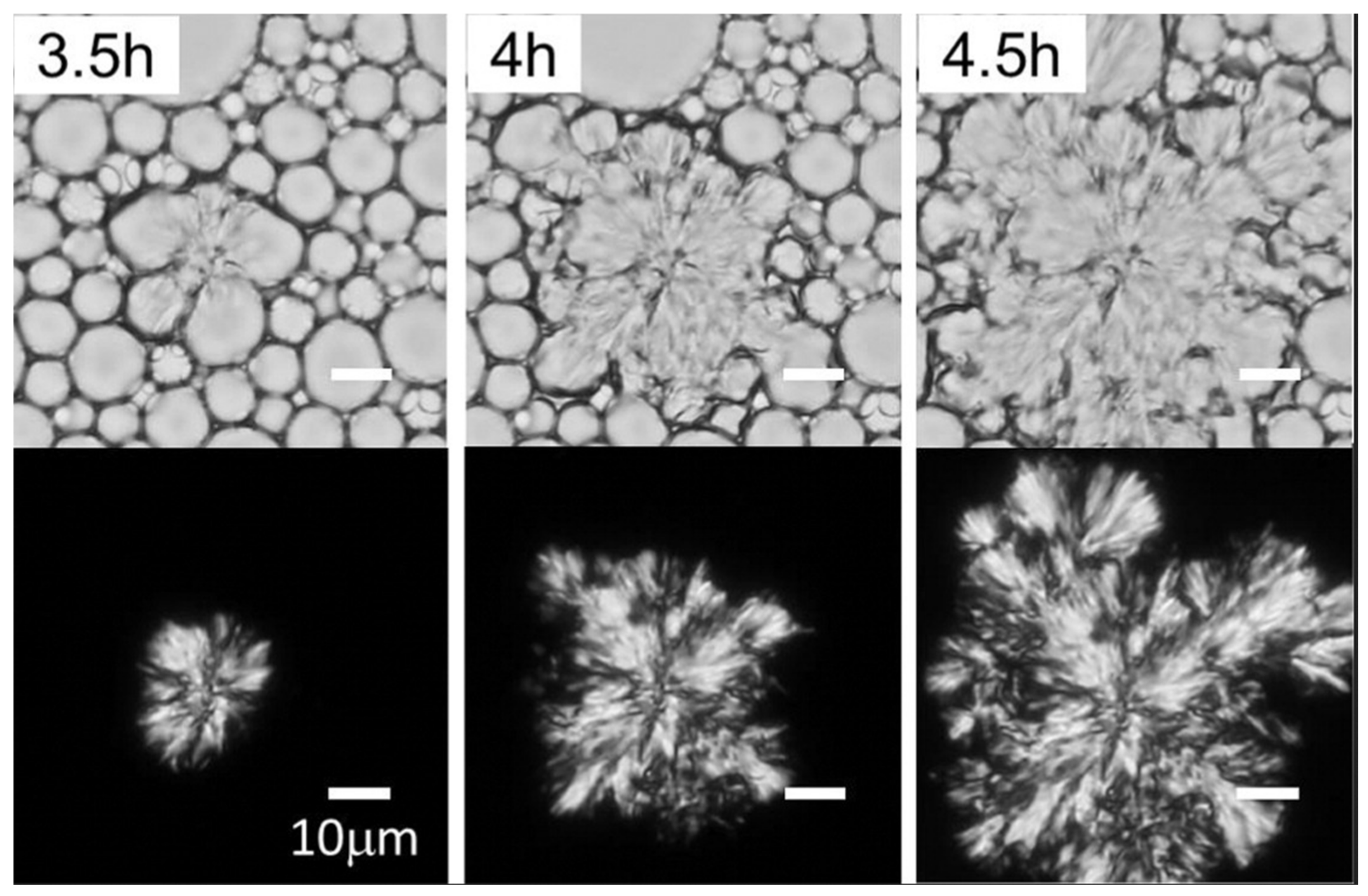 Applsci 14 01069 g005