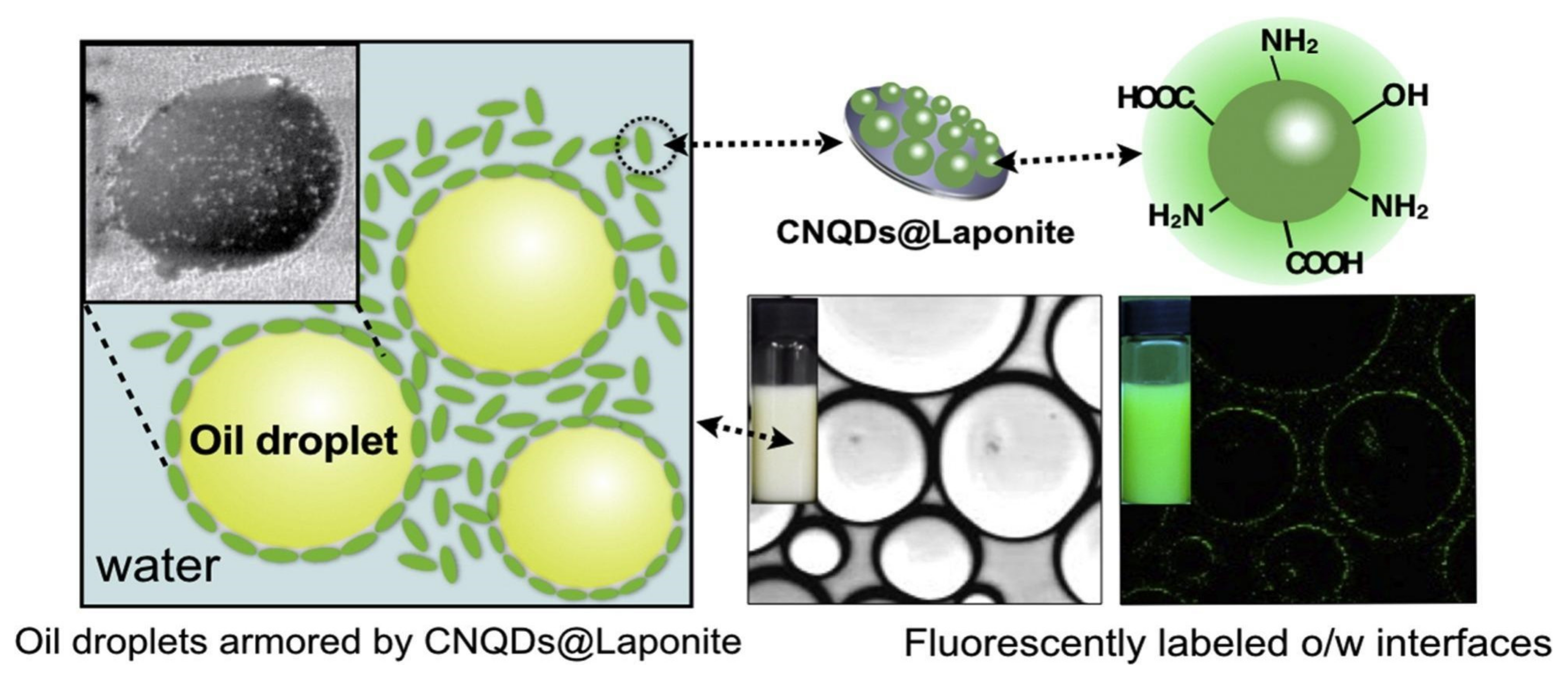 Applsci 14 01069 g006