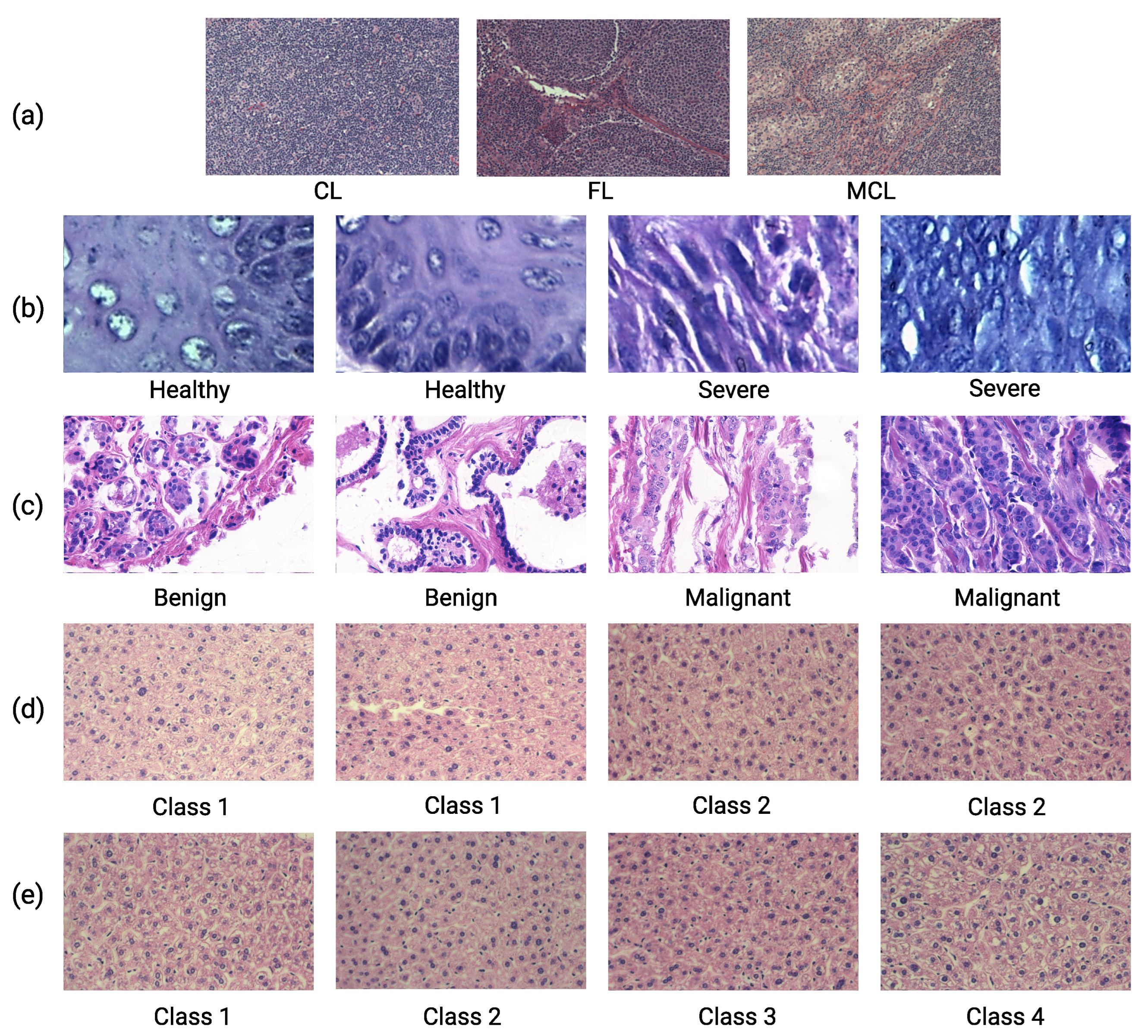 Applsci 14 01084 g004